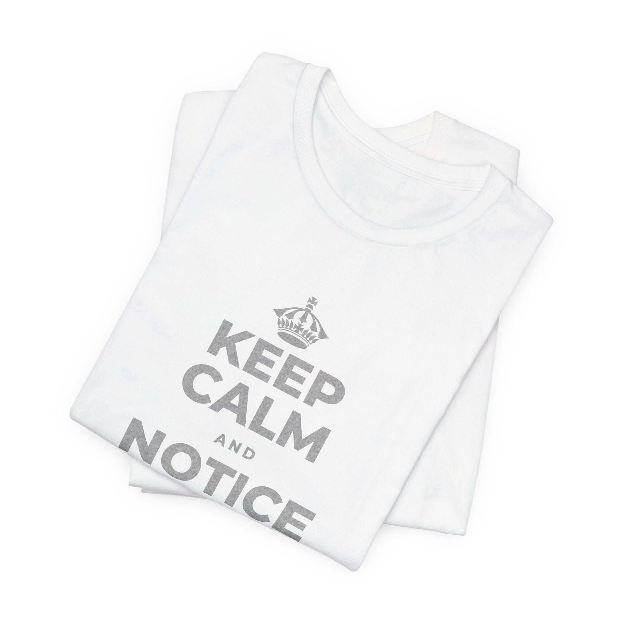 KEEP CALM AND NOTICE YOU'RE SAFE RIGHT NOW T-Shirt (White–Asphalt)