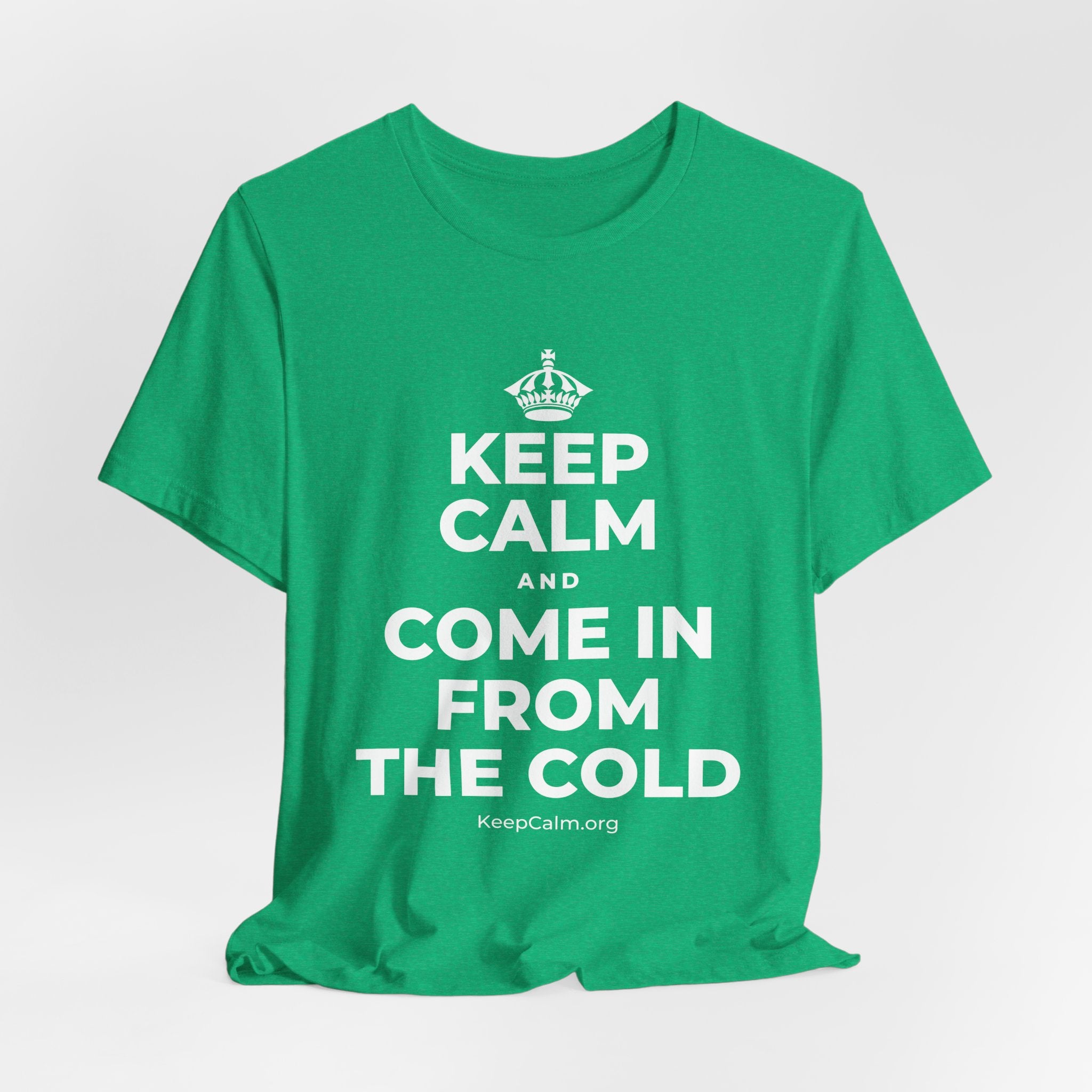 KEEP CALM AND COME IN FROM THE COLD T-Shirt (Baby Blue–Silver)