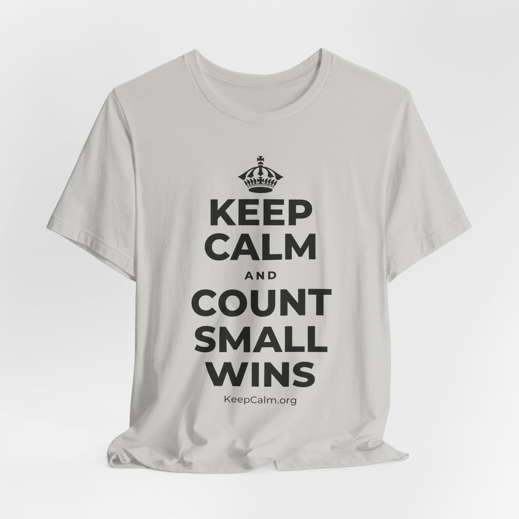 KEEP CALM AND COUNT SMALL WINS T-Shirt (Baby Blue–Silver)