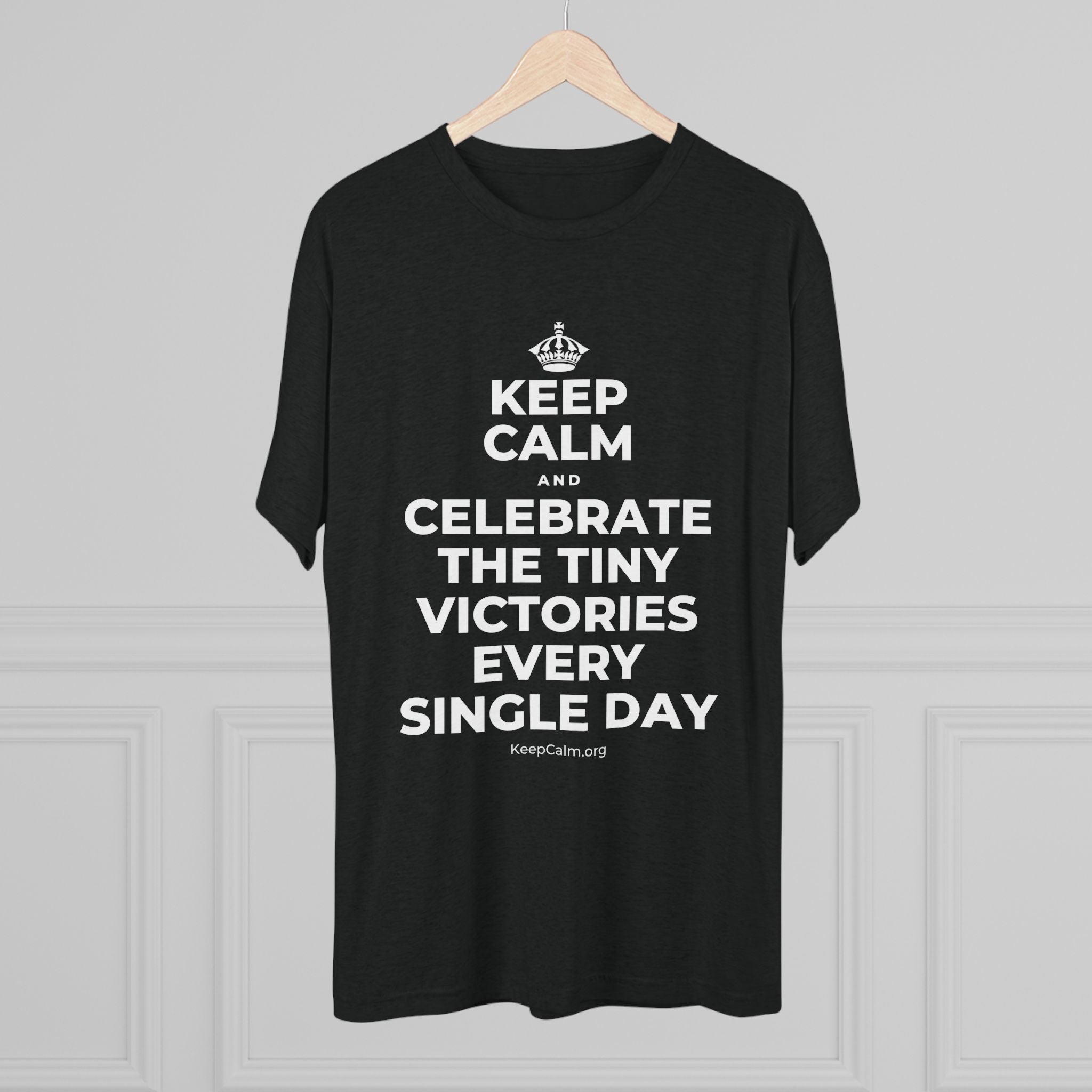 KEEP CALM AND CELEBRATE THE TINY VICTORIES EVERY SINGLE DAY Tri-Blend Tee
