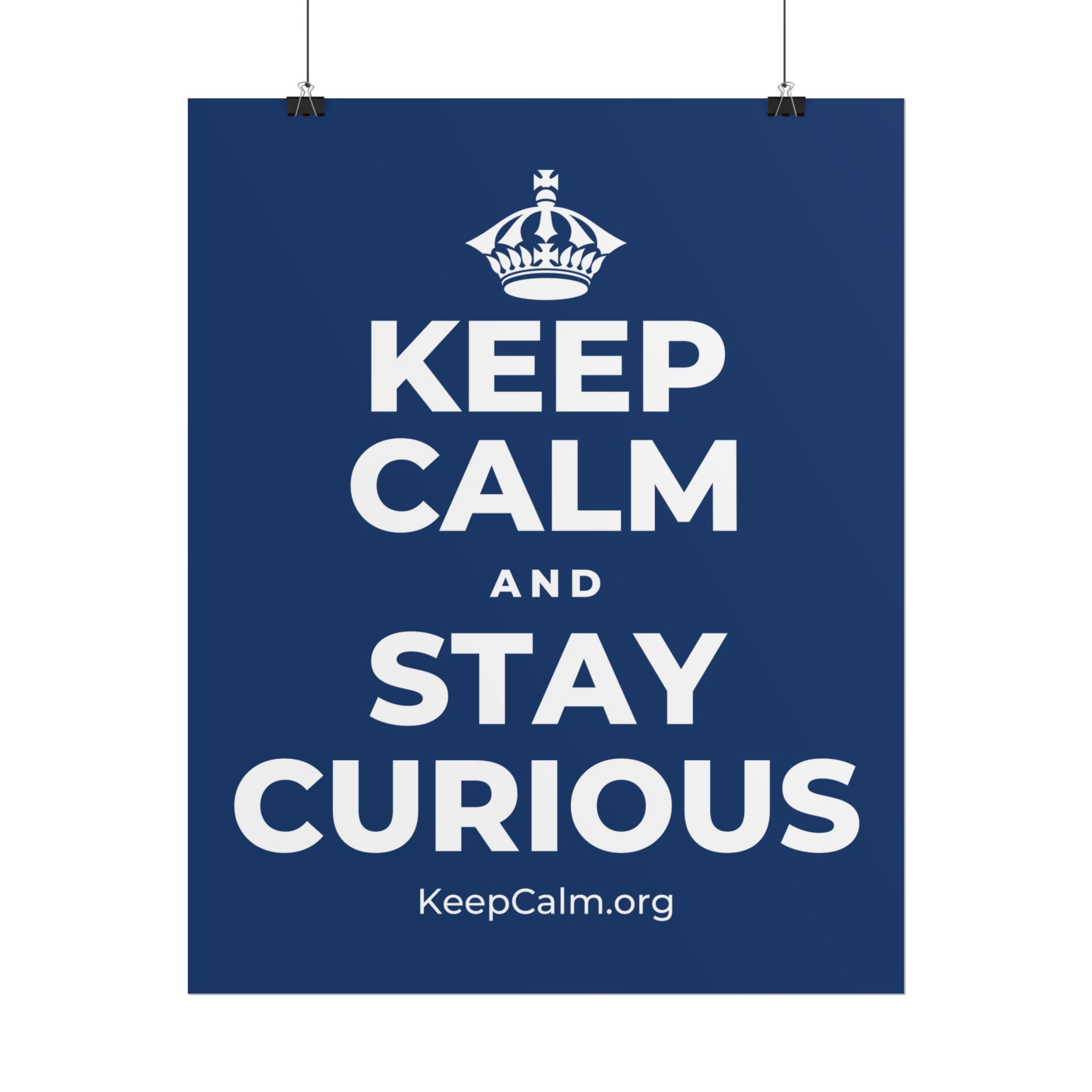 KEEP CALM AND STAY CURIOUS Poster