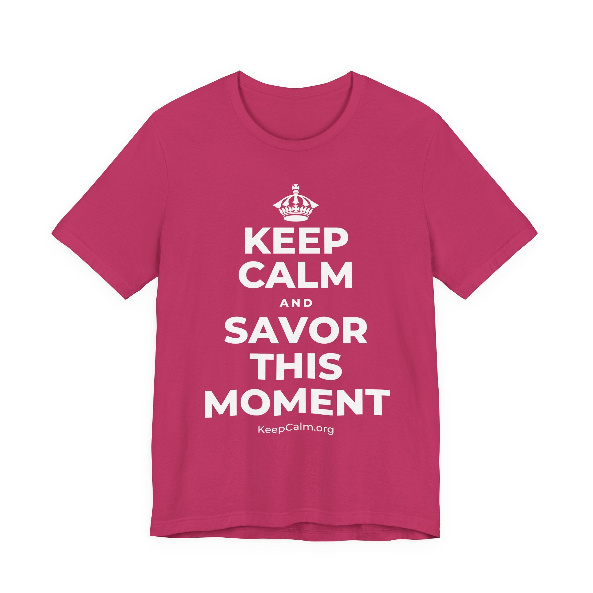 KEEP CALM AND SAVOR THIS MOMENT T-Shirt (Baby Blue–Silver)