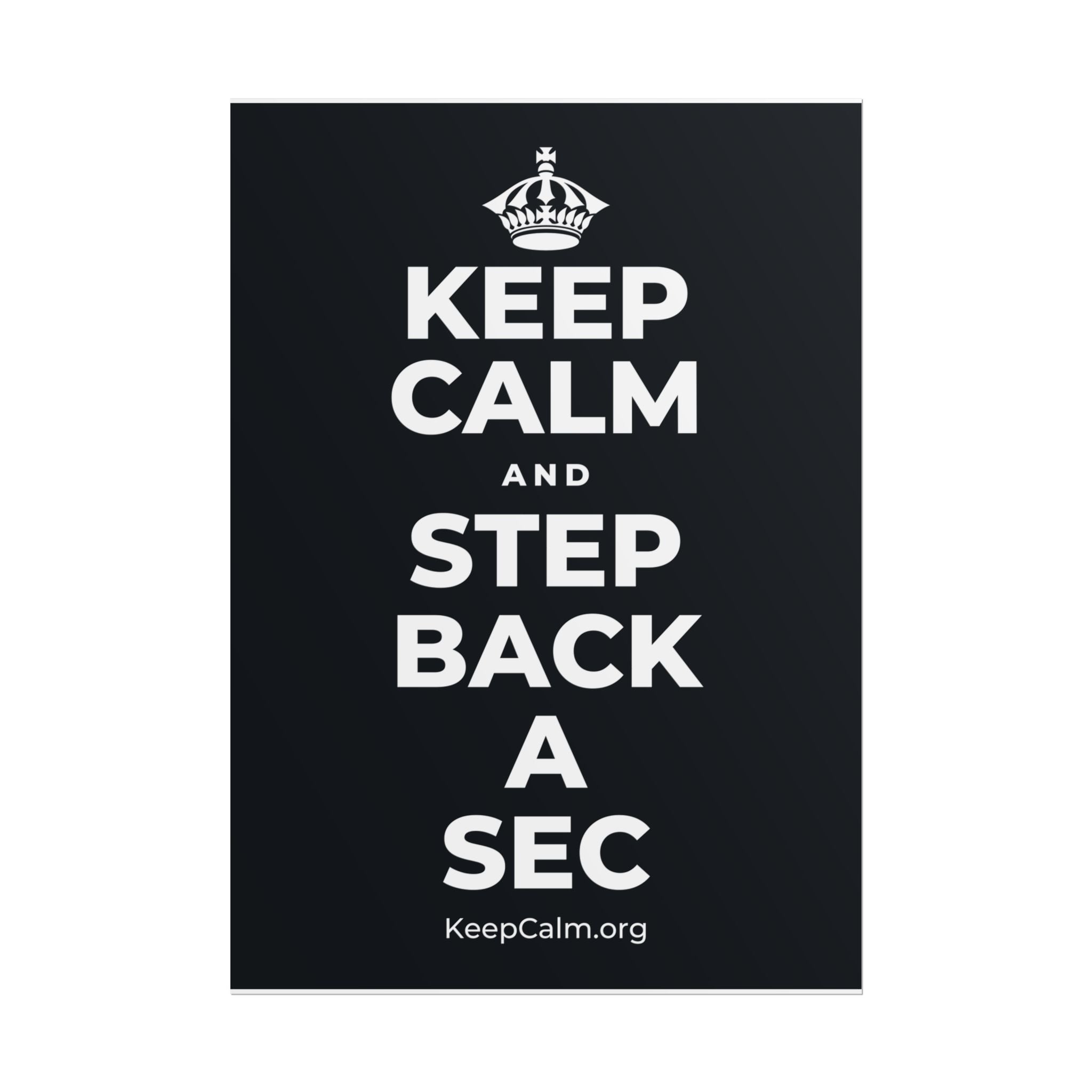 KEEP CALM AND STEP BACK A SEC Poster (Dark)