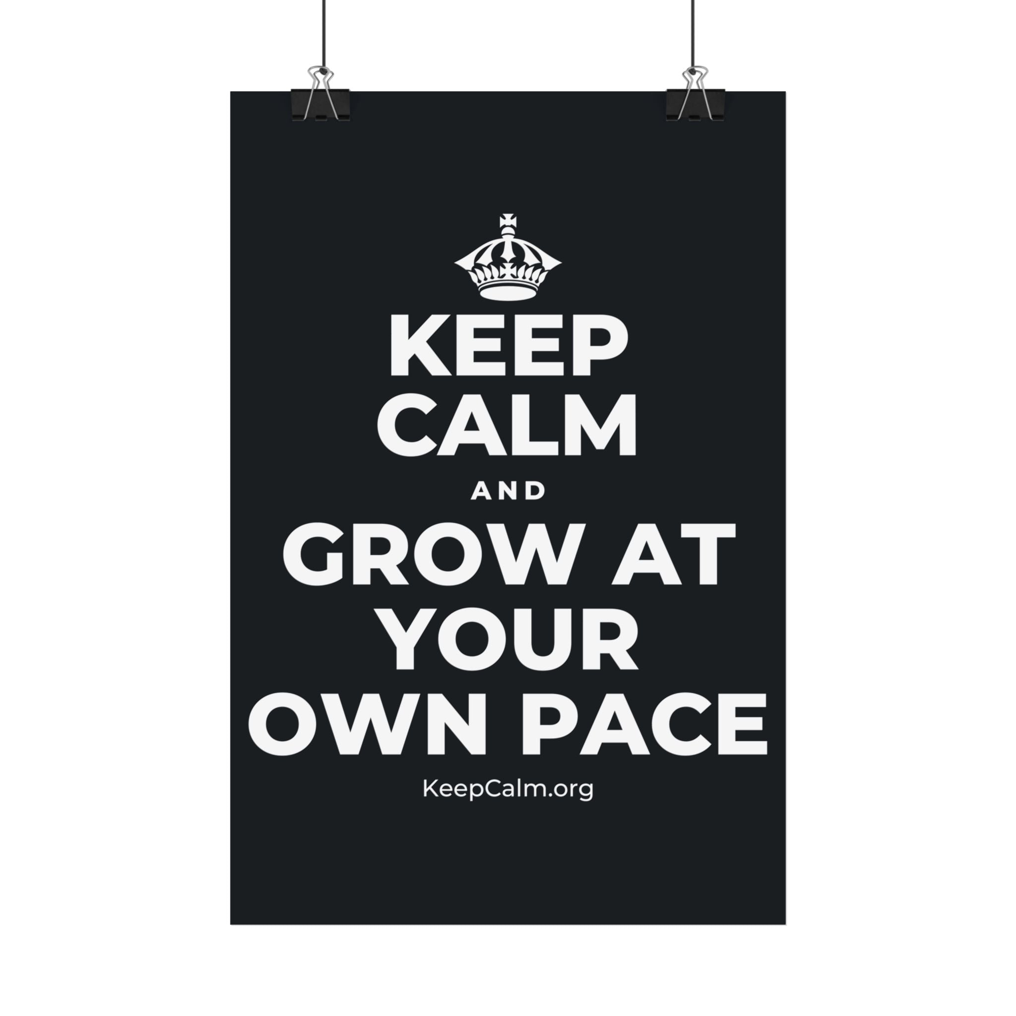 KEEP CALM AND GROW AT YOUR OWN PACE Satin Poster (Dark)
