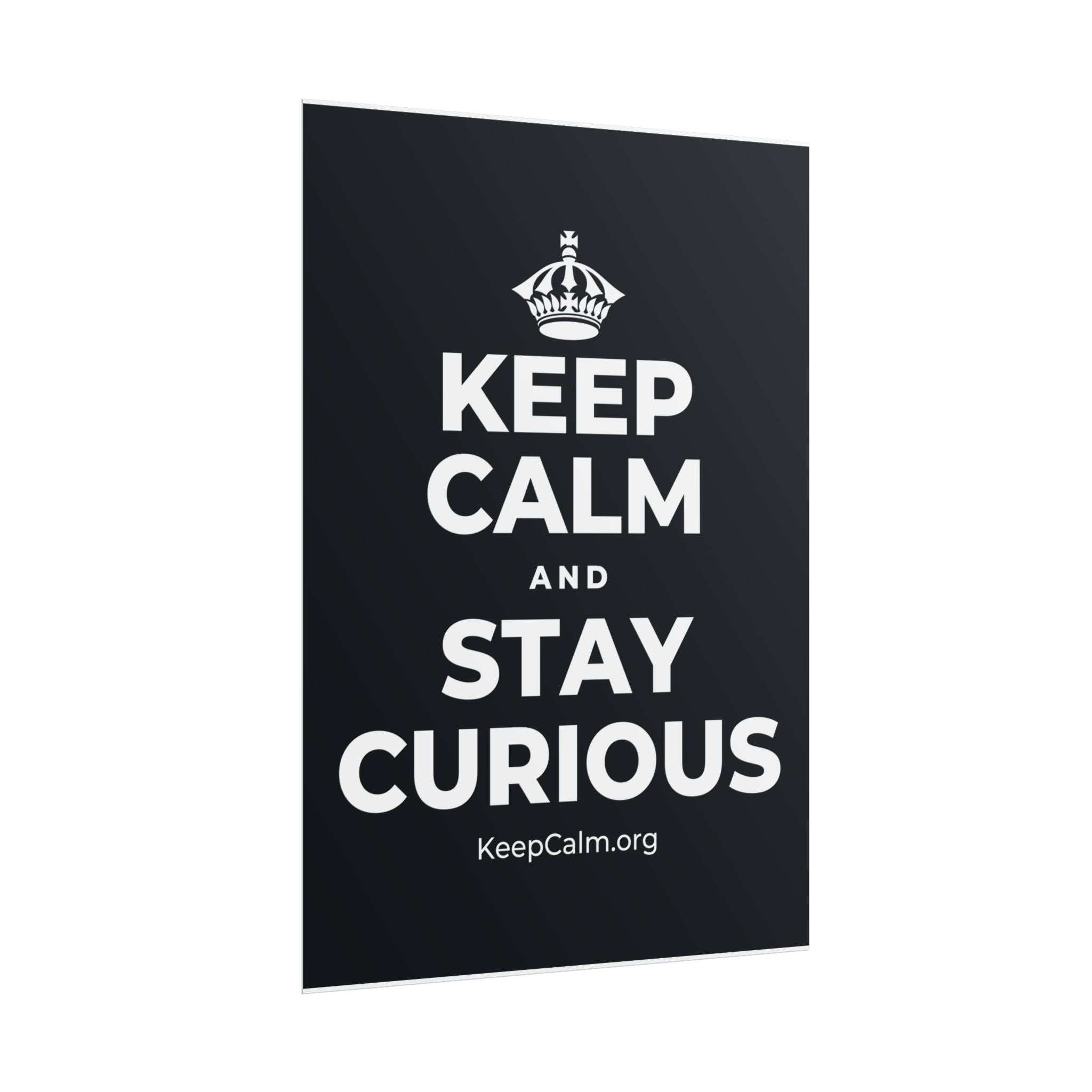 KEEP CALM AND STAY CURIOUS Poster (Dark)