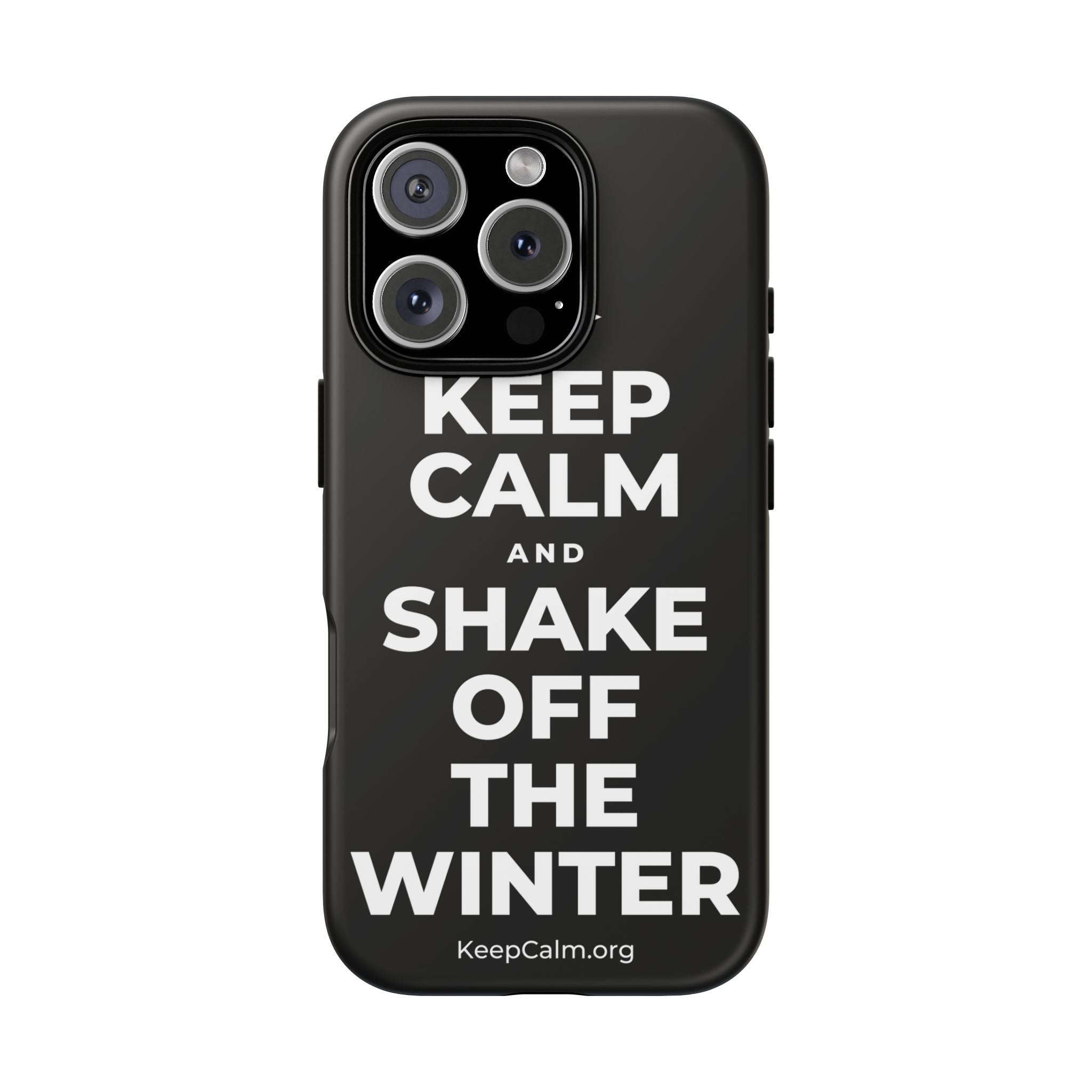 KEEP CALM AND SHAKE OFF THE WINTER Phone Case