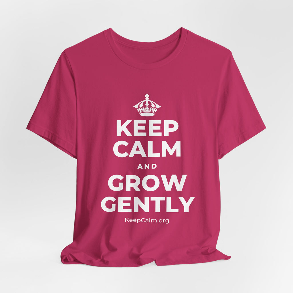 KEEP CALM AND GROW GENTLY T-Shirt (Baby Blue–Silver)