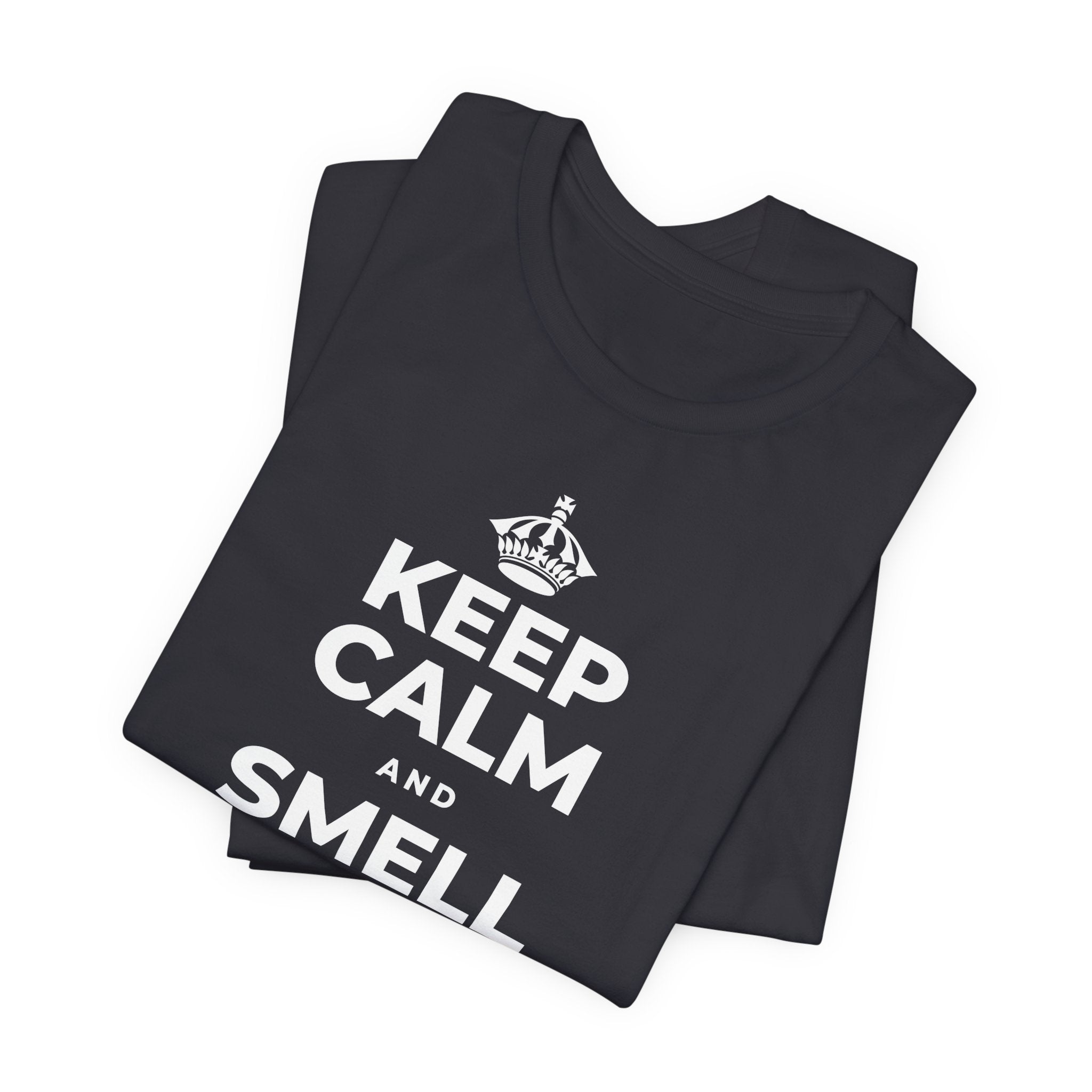 KEEP CALM AND SMELL THE FRESH AIR T-Shirt (Baby Blue–Silver)