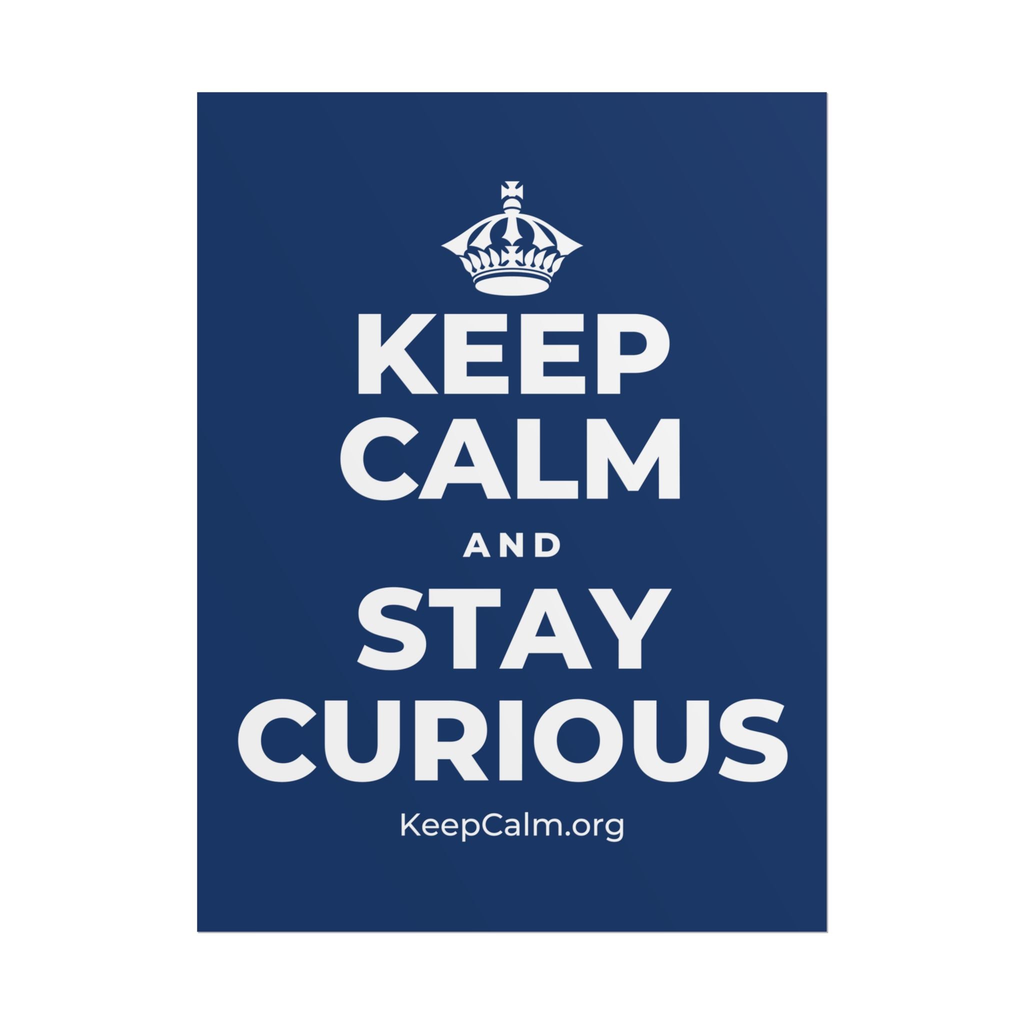 KEEP CALM AND STAY CURIOUS Poster