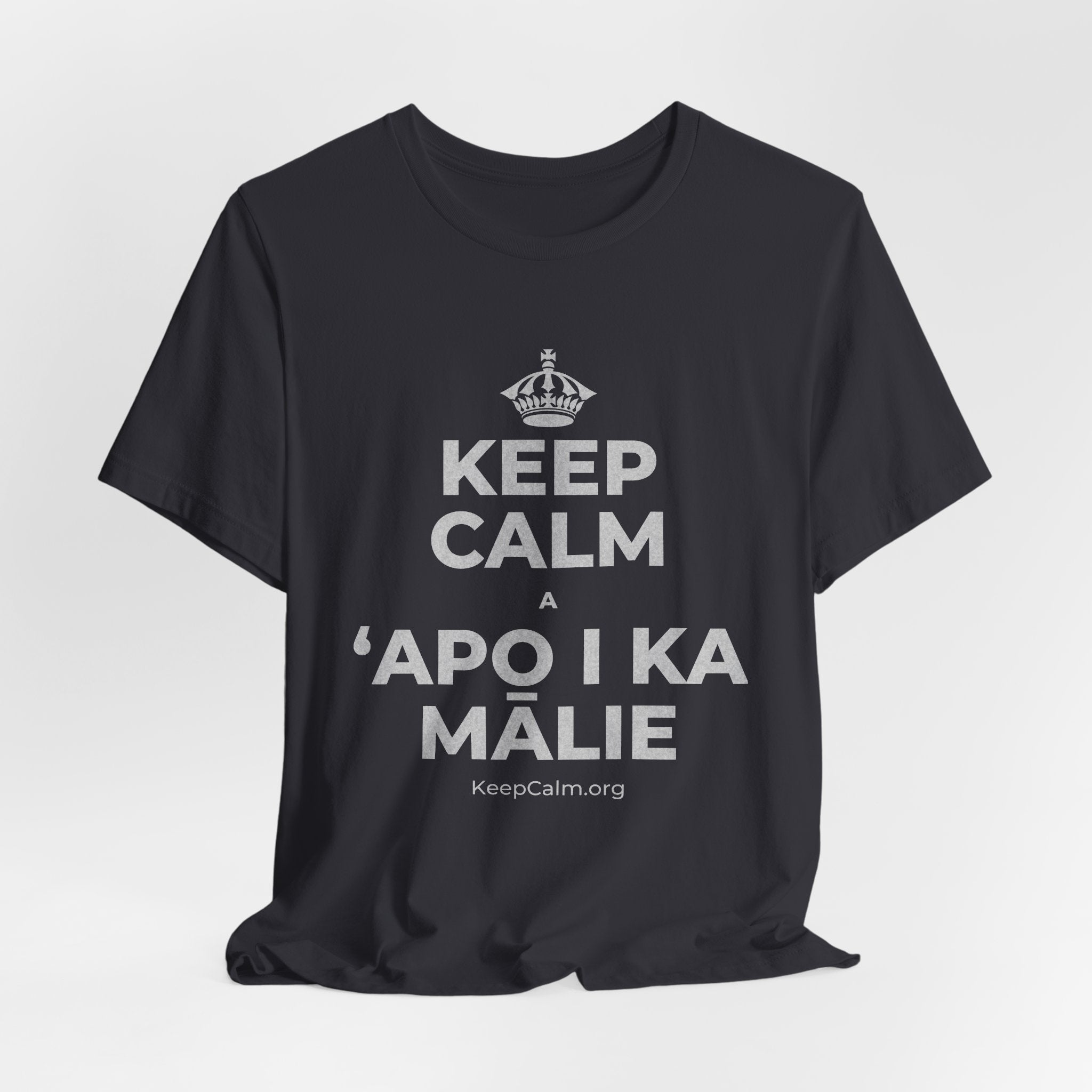 KEEP CALM A ʻAPO I KA MĀLIE T-Shirt (Baby Blue–Silver)