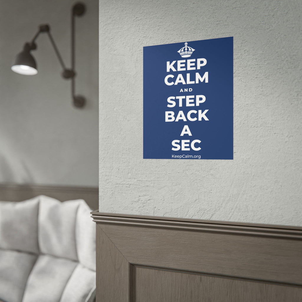 KEEP CALM AND STEP BACK A SEC Poster