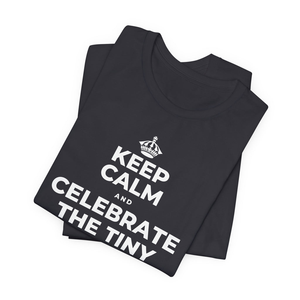 KEEP CALM AND CELEBRATE THE TINY VICTORIES EVERY SINGLE DAY T-Shirt (Baby Blue–Silver)