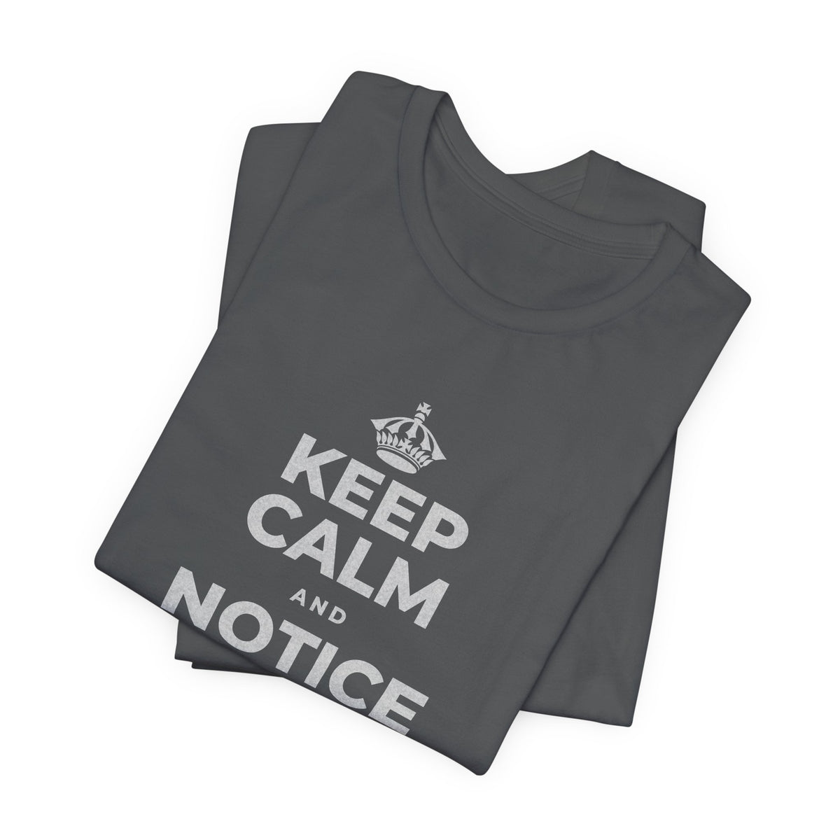 KEEP CALM AND NOTICE YOU'RE SAFE RIGHT NOW T-Shirt (White–Asphalt)