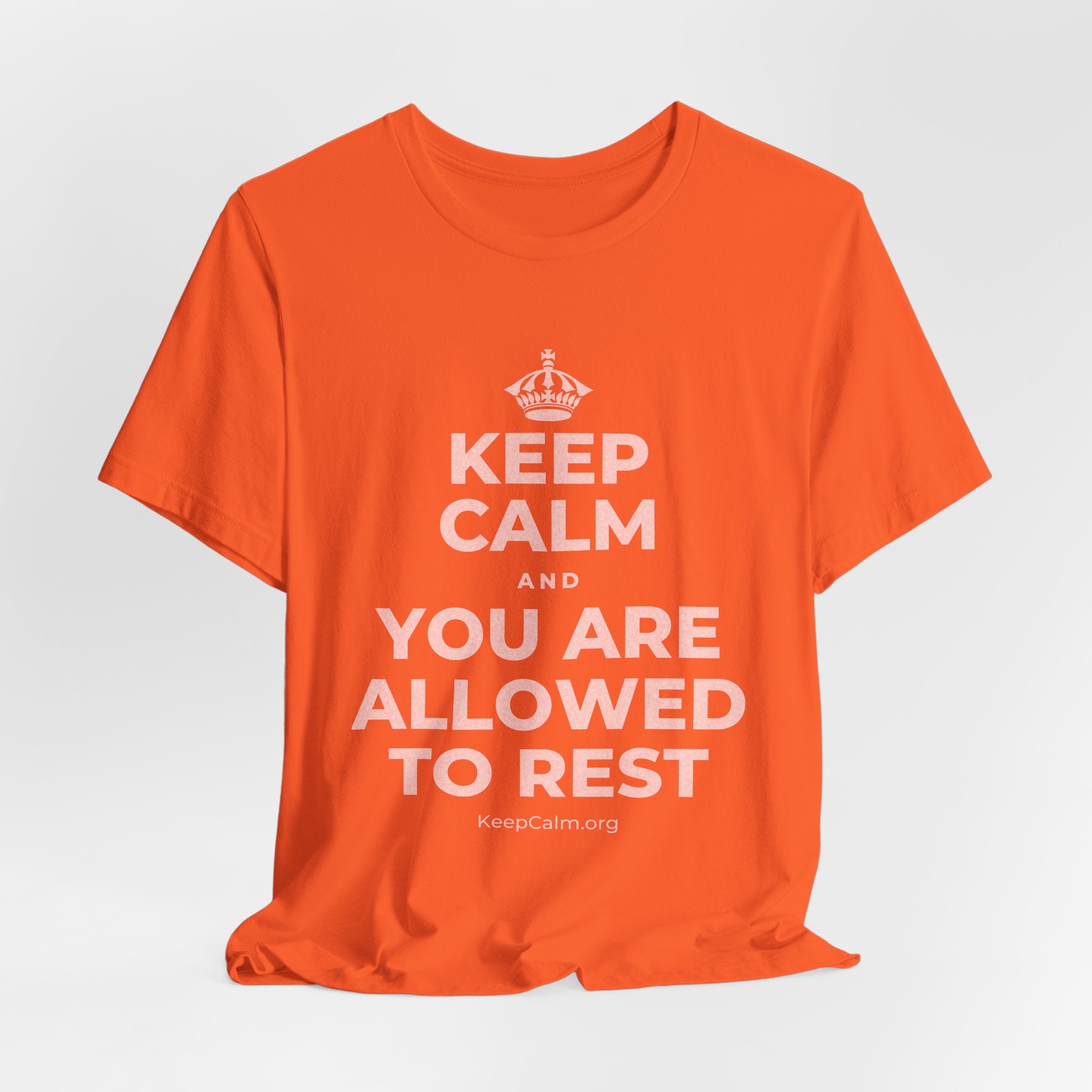 KEEP CALM AND YOU ARE ALLOWED TO REST T-Shirt (Baby Blue–Silver)