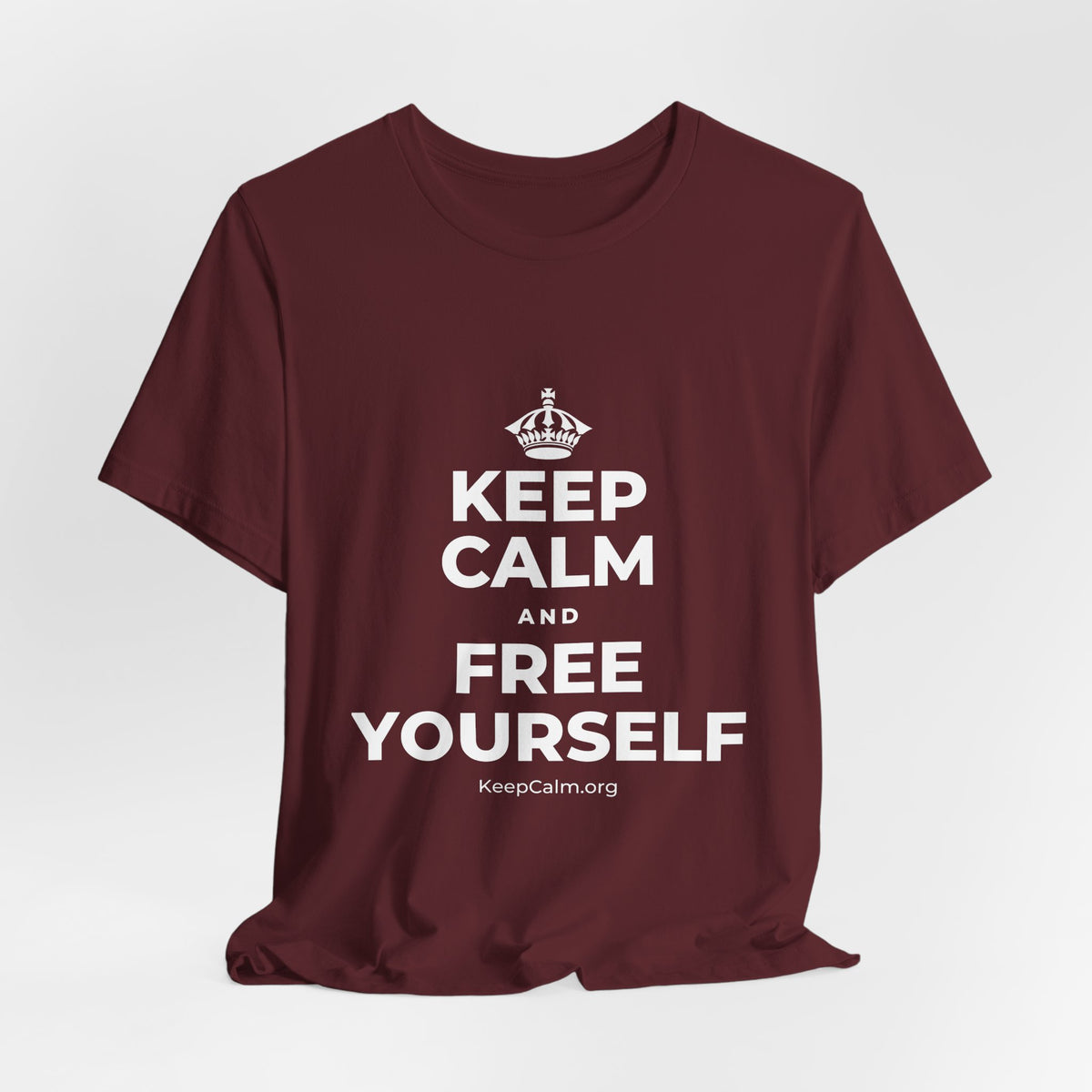 KEEP CALM AND FREE YOURSELF T-Shirt (Baby Blue–Silver)