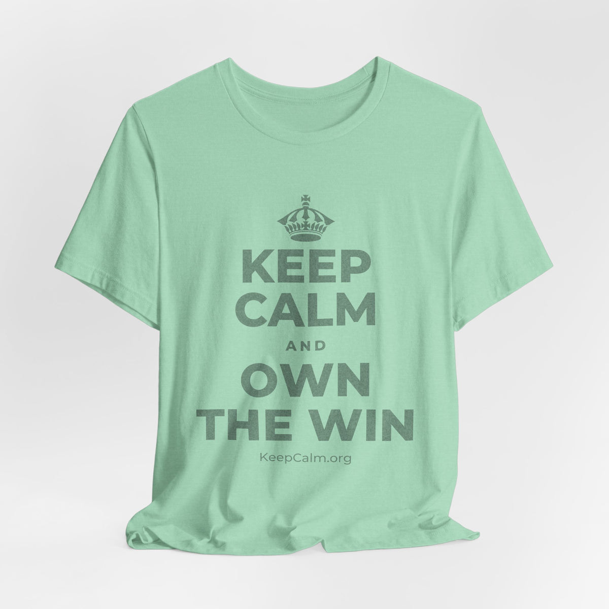 KEEP CALM AND OWN THE WIN T-Shirt (Baby Blue–Silver)