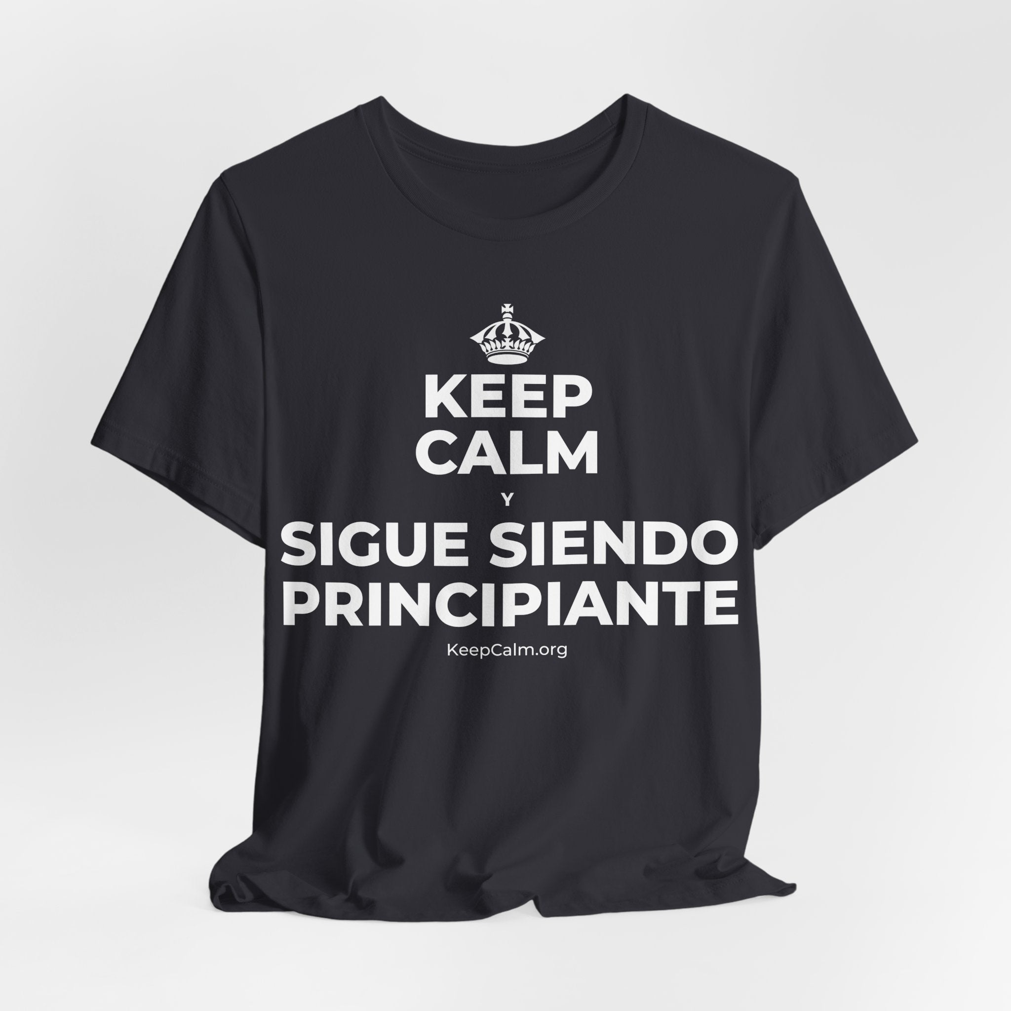 KEEP CALM Y SIGUE SIENDO PRINCIPIANTE T-Shirt (Baby Blue–Silver)