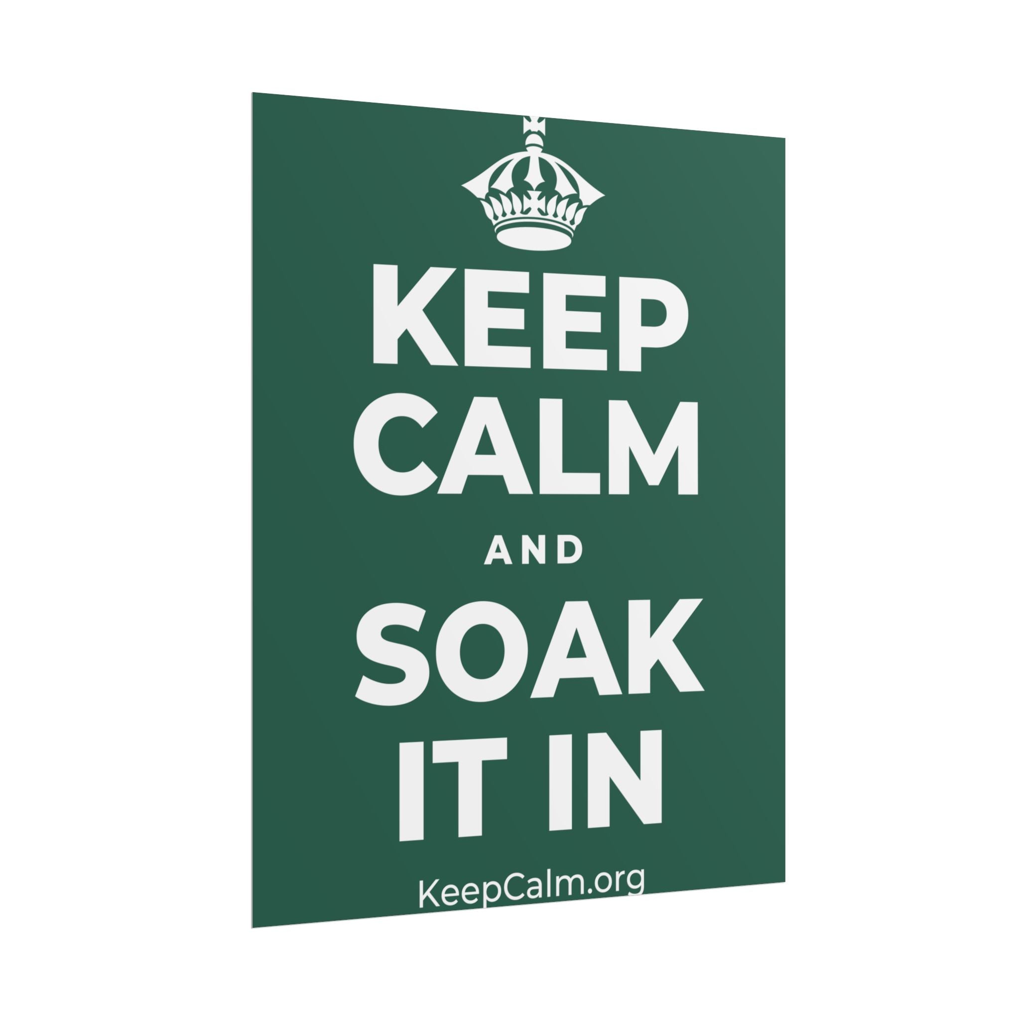 KEEP CALM AND SOAK IT IN Poster