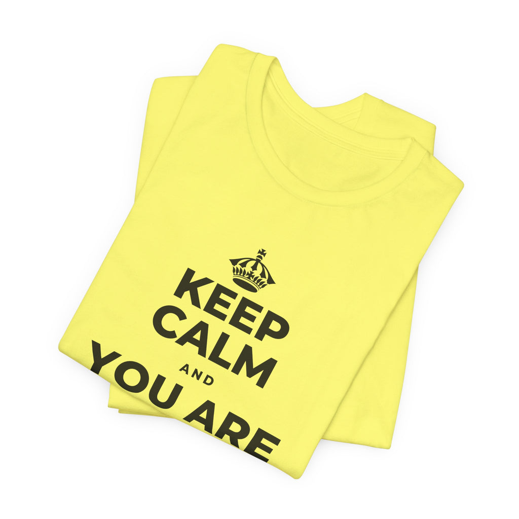 KEEP CALM AND YOU ARE DOING GREAT TODAY T-Shirt (Soft Cream–Heather Mauve)