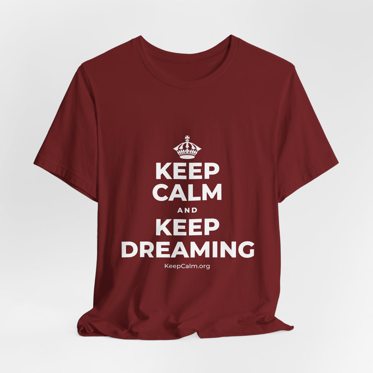 KEEP CALM AND KEEP DREAMING T-Shirt (Baby Blue–Silver)