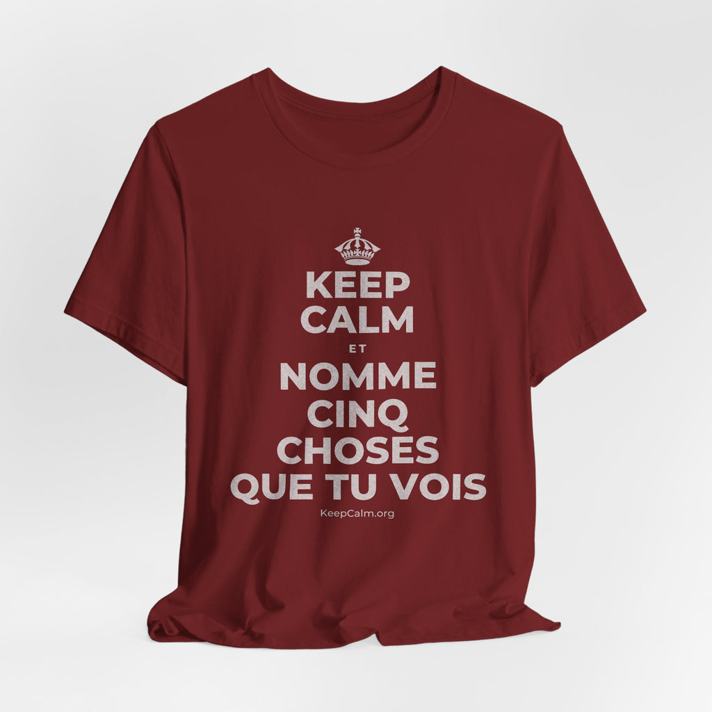 KEEP CALM ET NOMME CINQ CHOSES QUE TU VOIS T-Shirt (Baby Blue–Silver)