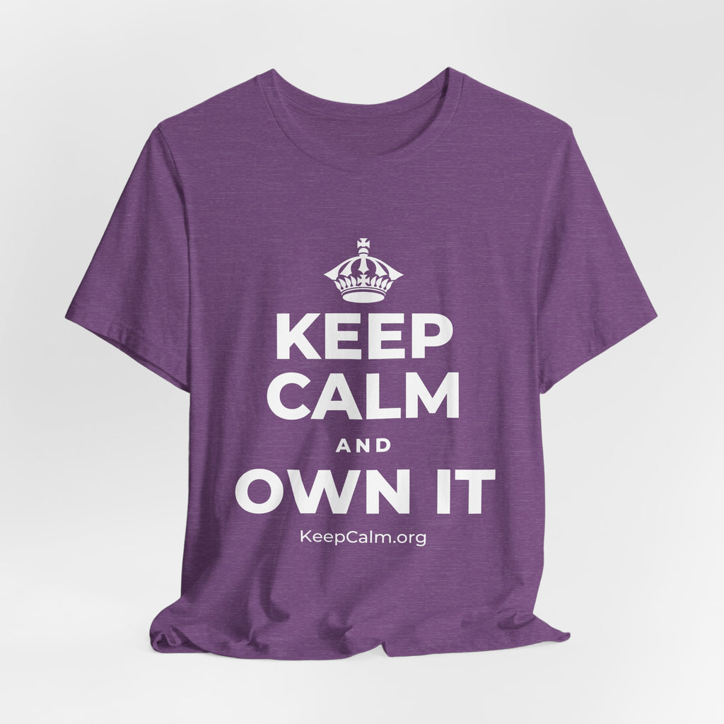 KEEP CALM AND OWN IT T-Shirt (Baby Blue–Silver)