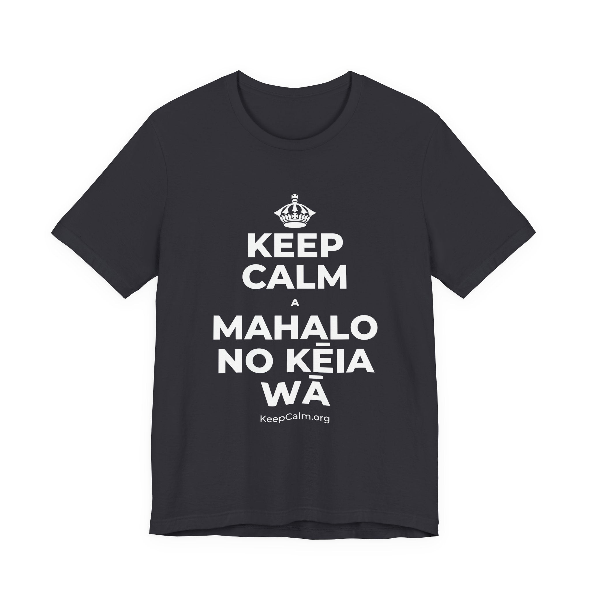 KEEP CALM A MAHALO NO KĒIA WĀ T-Shirt (Baby Blue–Silver)