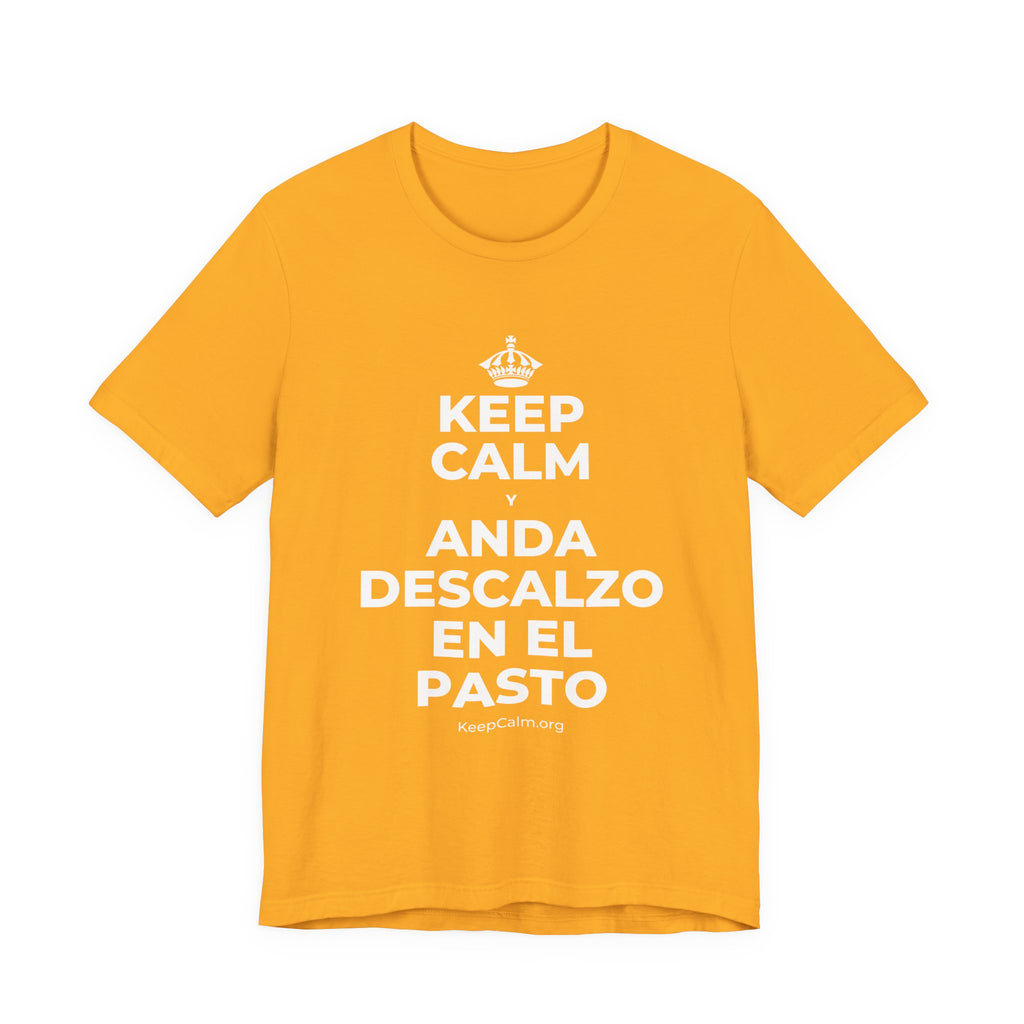 KEEP CALM Y ANDA DESCALZO EN EL PASTO T-Shirt (Baby Blue–Silver)