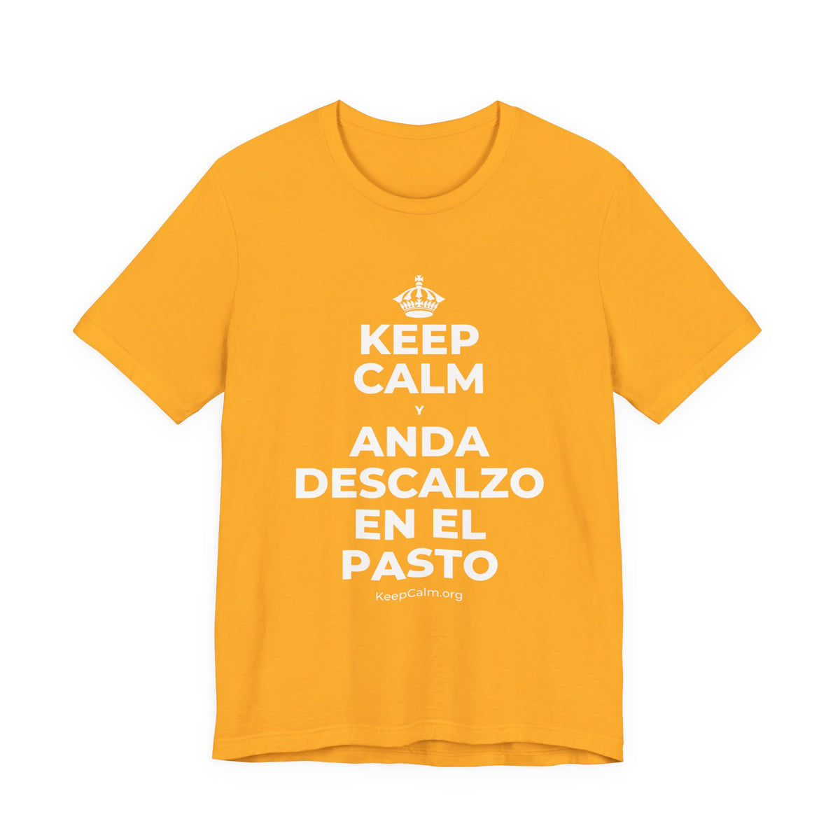 KEEP CALM Y ANDA DESCALZO EN EL PASTO T-Shirt (Baby Blue–Silver)