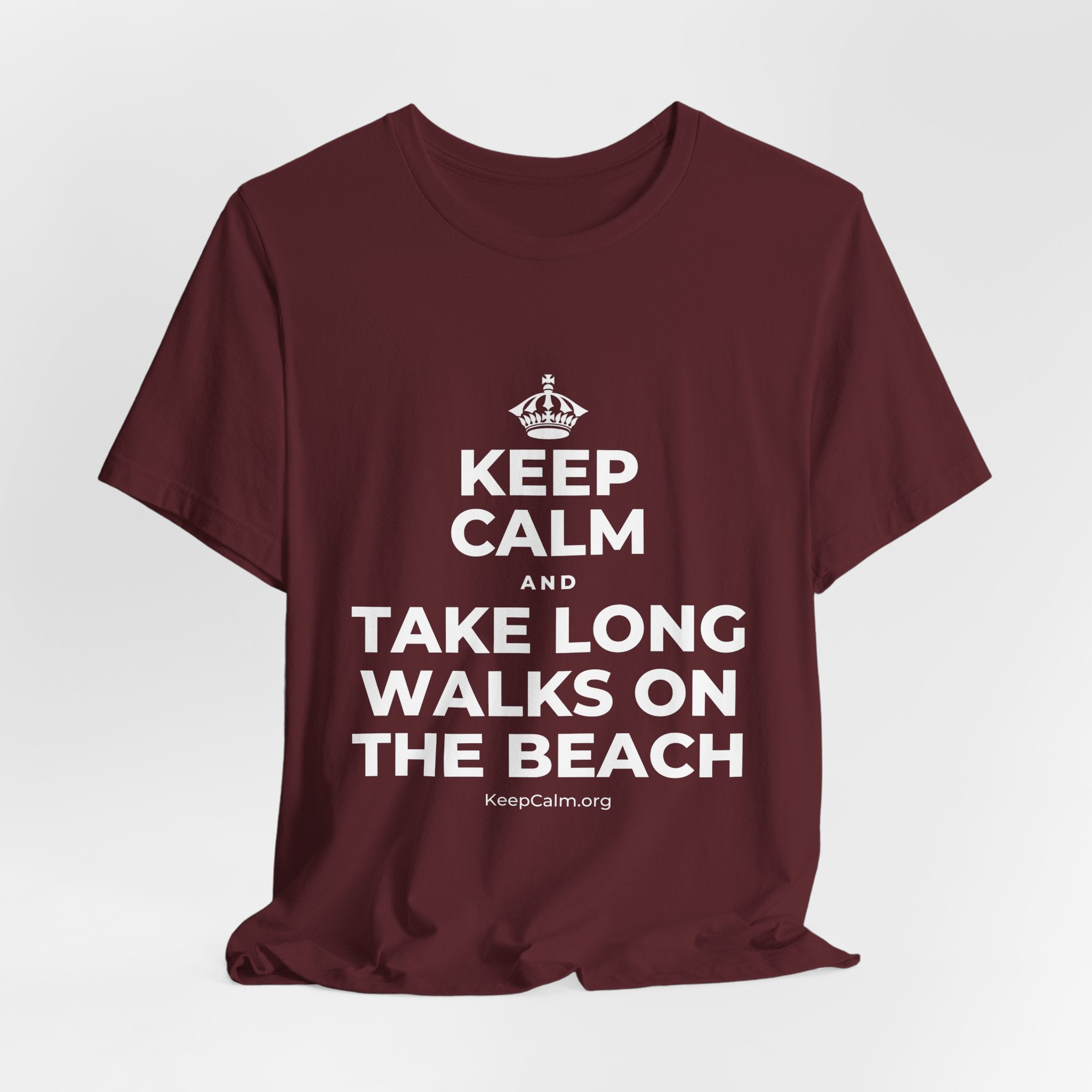 KEEP CALM AND TAKE LONG WALKS ON THE BEACH T-Shirt (Baby Blue–Silver)