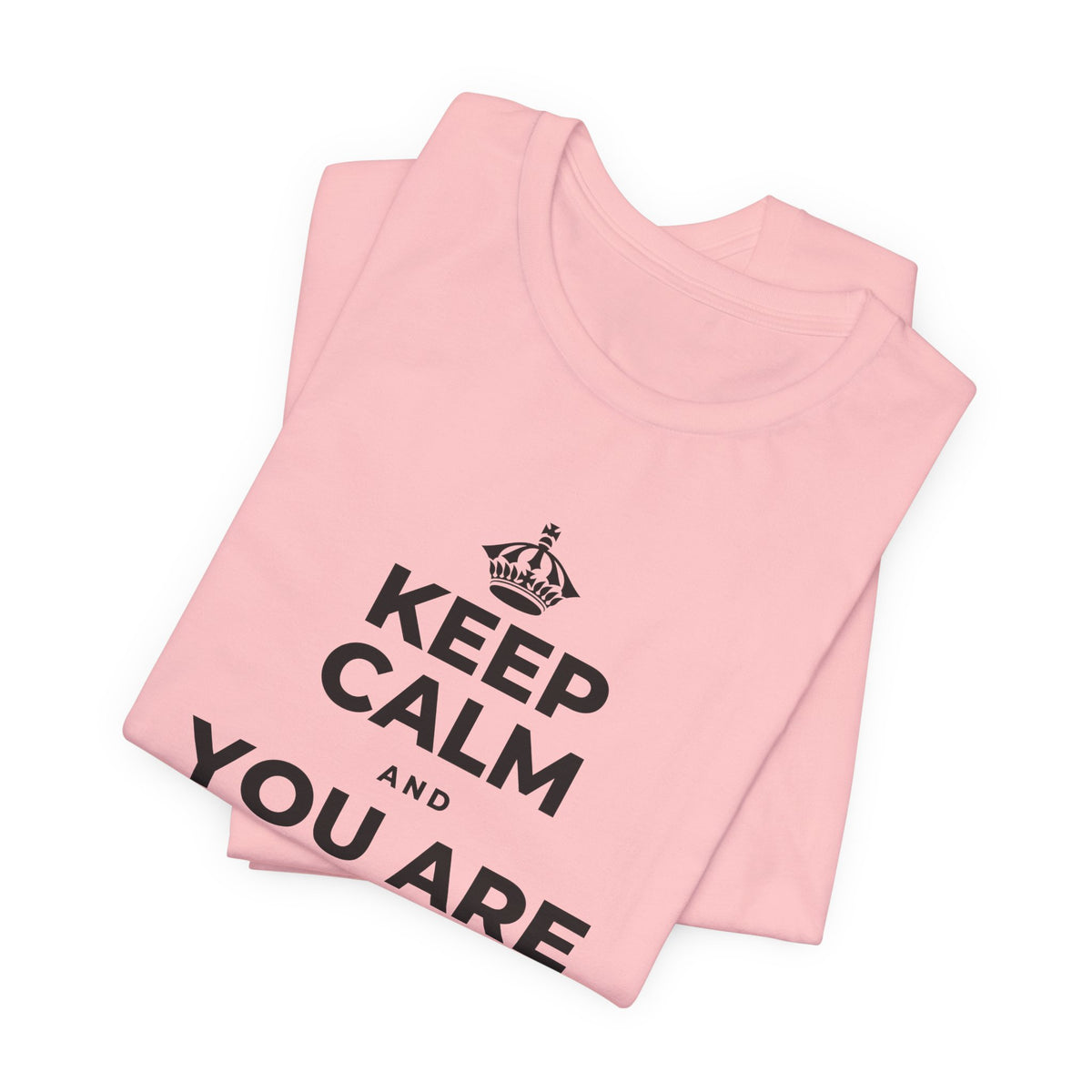 KEEP CALM AND YOU ARE DOING GREAT TODAY T-Shirt (White–Asphalt)