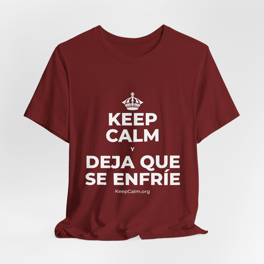 KEEP CALM Y DEJA QUE SE ENFRÍE T-Shirt (Baby Blue–Silver)