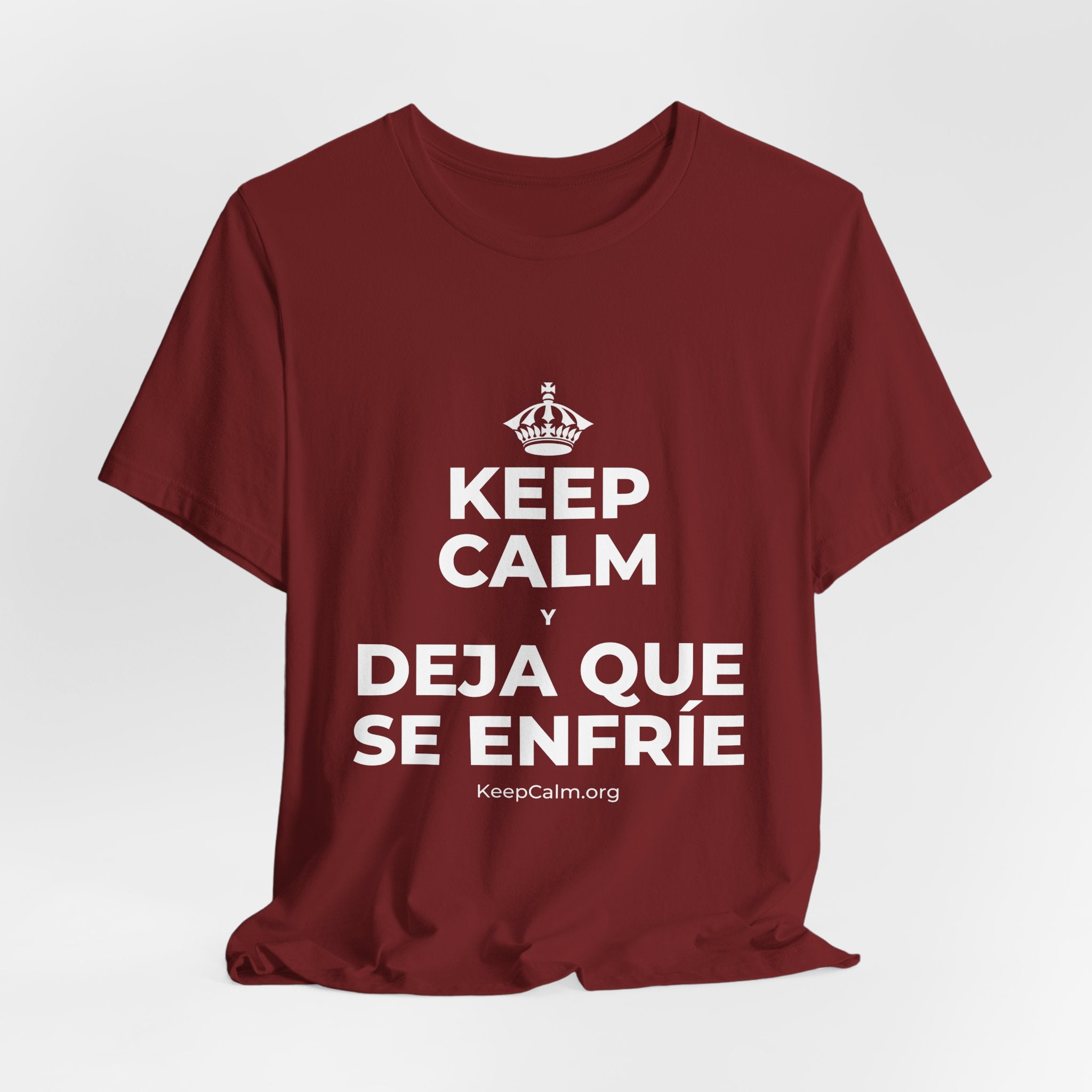 KEEP CALM Y DEJA QUE SE ENFRÍE T-Shirt (Baby Blue–Silver)