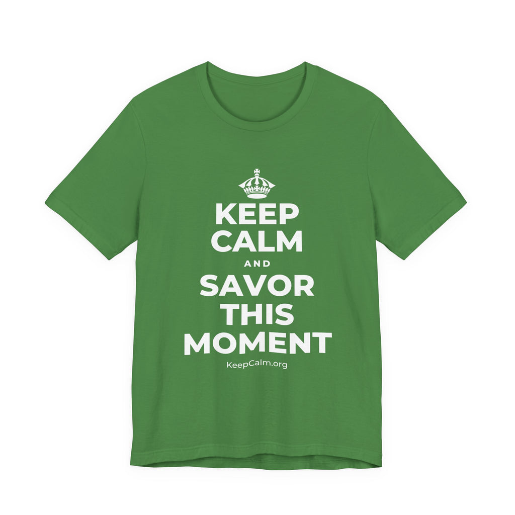 KEEP CALM AND SAVOR THIS MOMENT T-Shirt (Baby Blue–Silver)