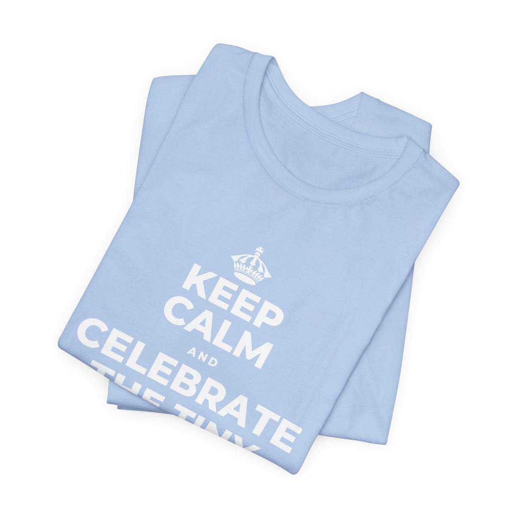 KEEP CALM AND CELEBRATE THE TINY VICTORIES EVERY SINGLE DAY T-Shirt (Baby Blue–Silver)