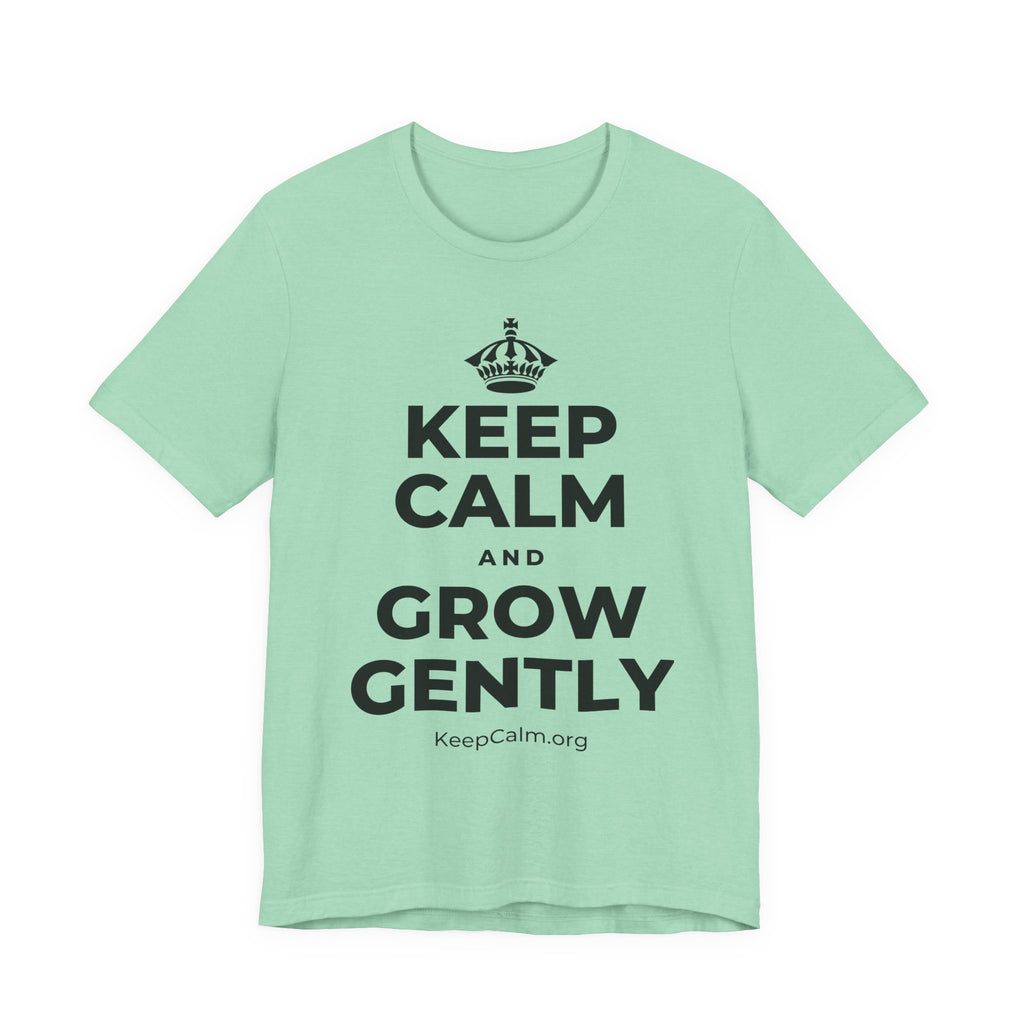 KEEP CALM AND GROW GENTLY T-Shirt (Baby Blue–Silver)