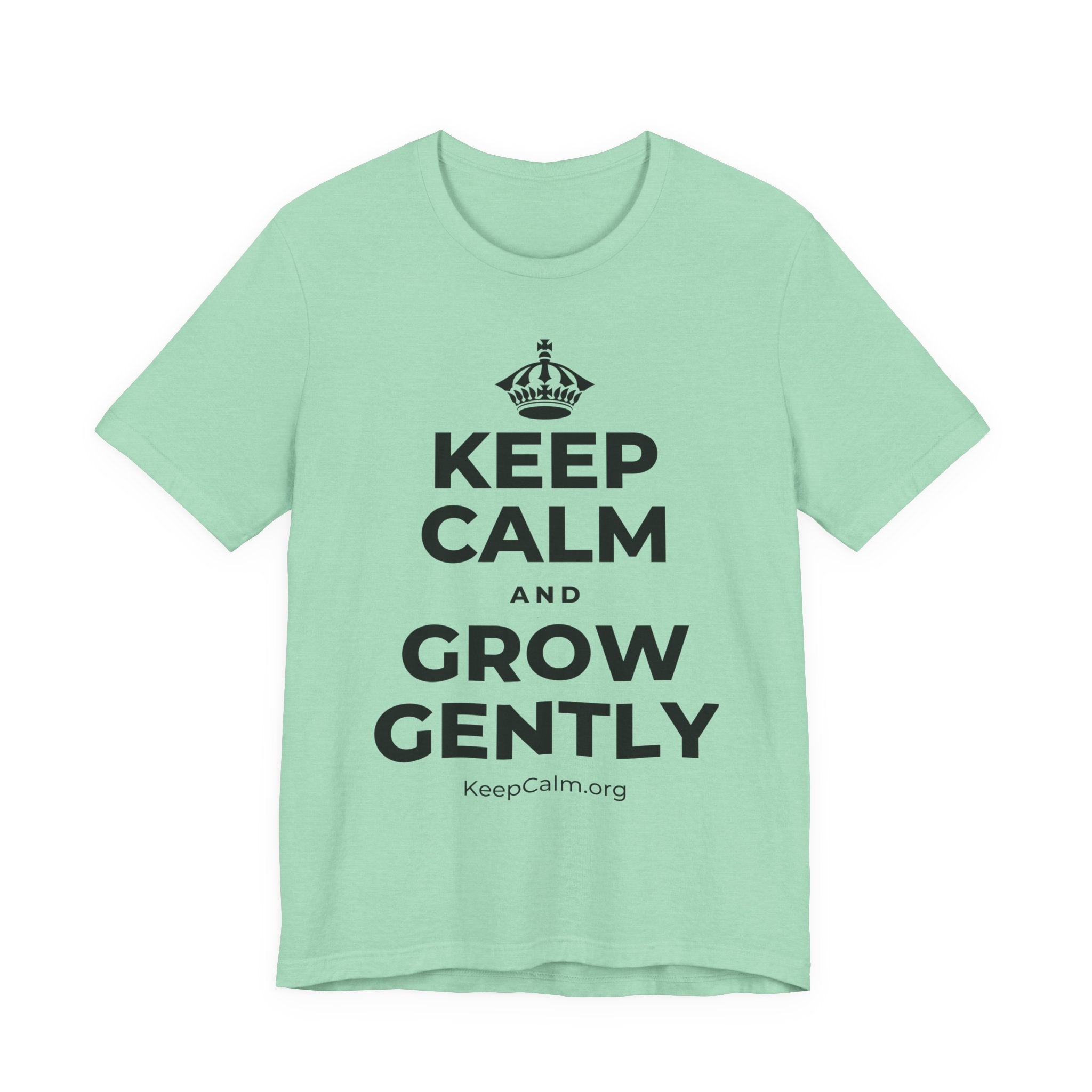 KEEP CALM AND GROW GENTLY T-Shirt (Baby Blue–Silver)