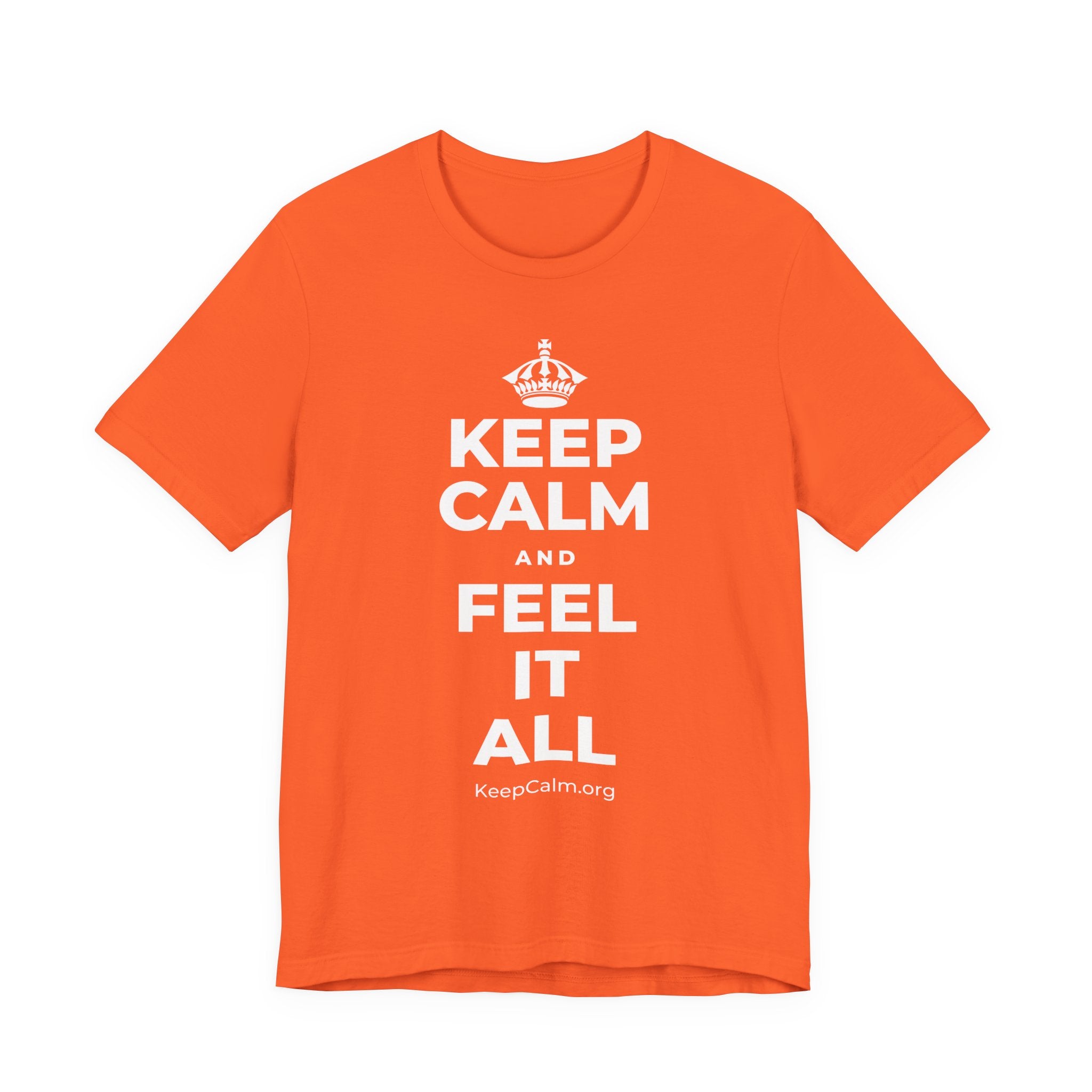 KEEP CALM AND FEEL IT ALL T-Shirt (Baby Blue–Silver)