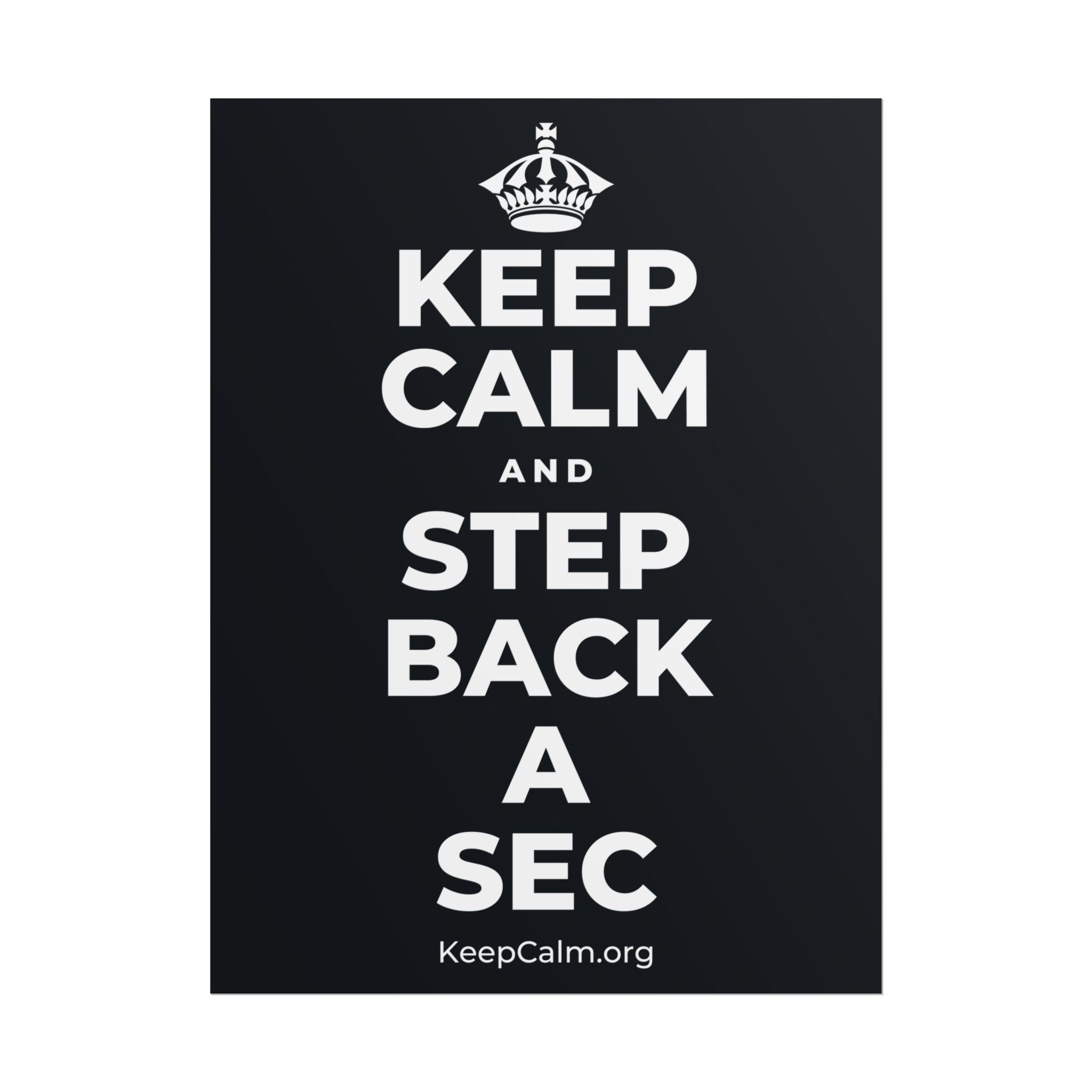 KEEP CALM AND STEP BACK A SEC Poster (Dark)