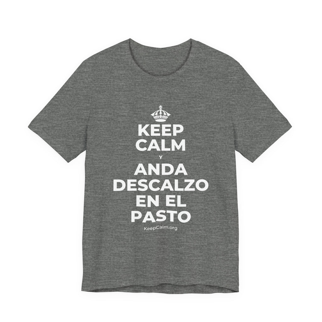 KEEP CALM Y ANDA DESCALZO EN EL PASTO T-Shirt (Baby Blue–Silver)