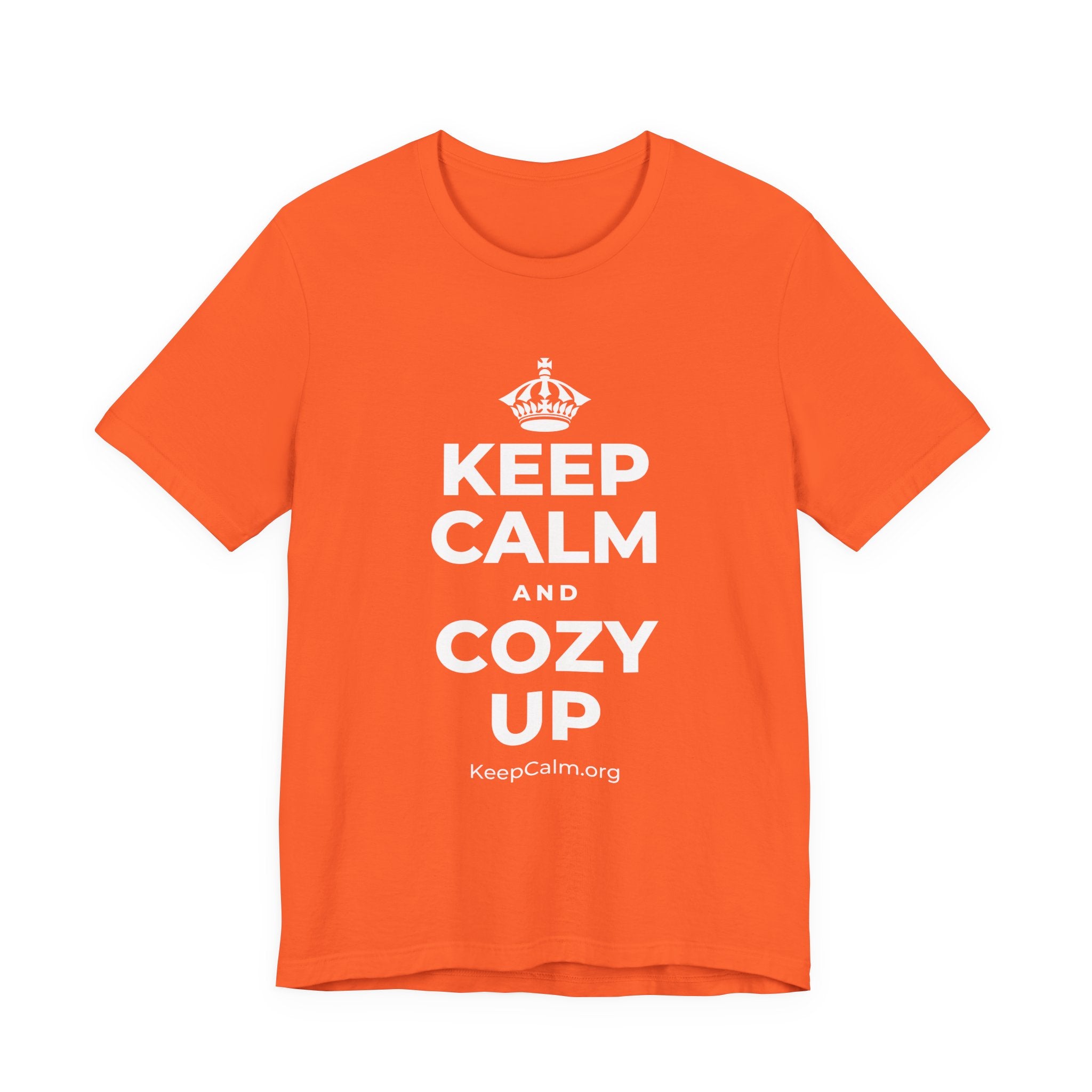 KEEP CALM AND COZY UP T-Shirt (Baby Blue–Silver)