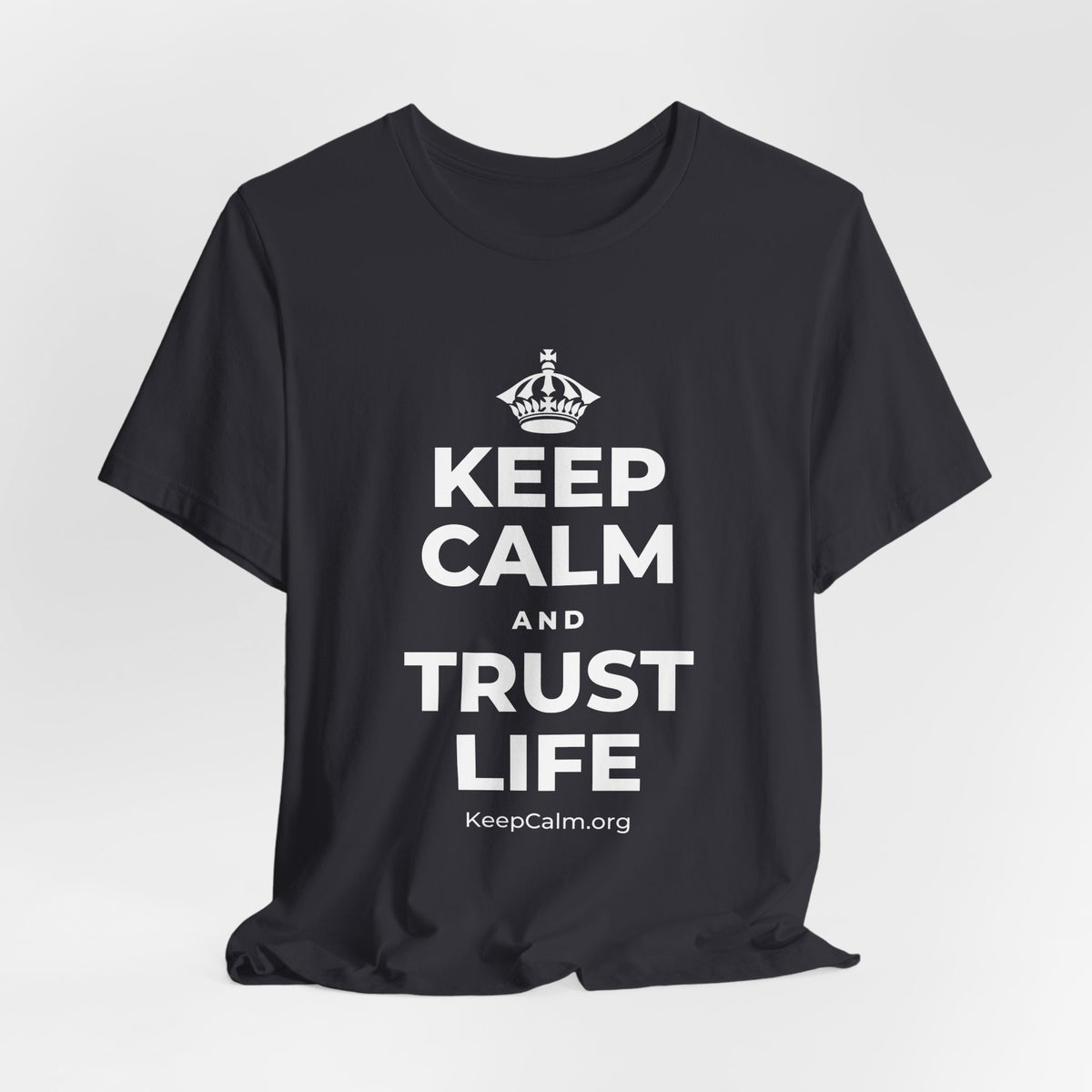 KEEP CALM AND TRUST LIFE T-Shirt (Baby Blue–Silver)