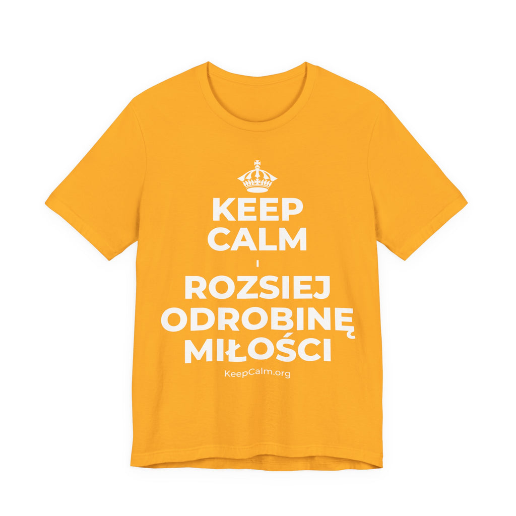 KEEP CALM I ROZSIEJ ODROBINĘ MIŁOŚCI T-Shirt (Baby Blue–Silver)