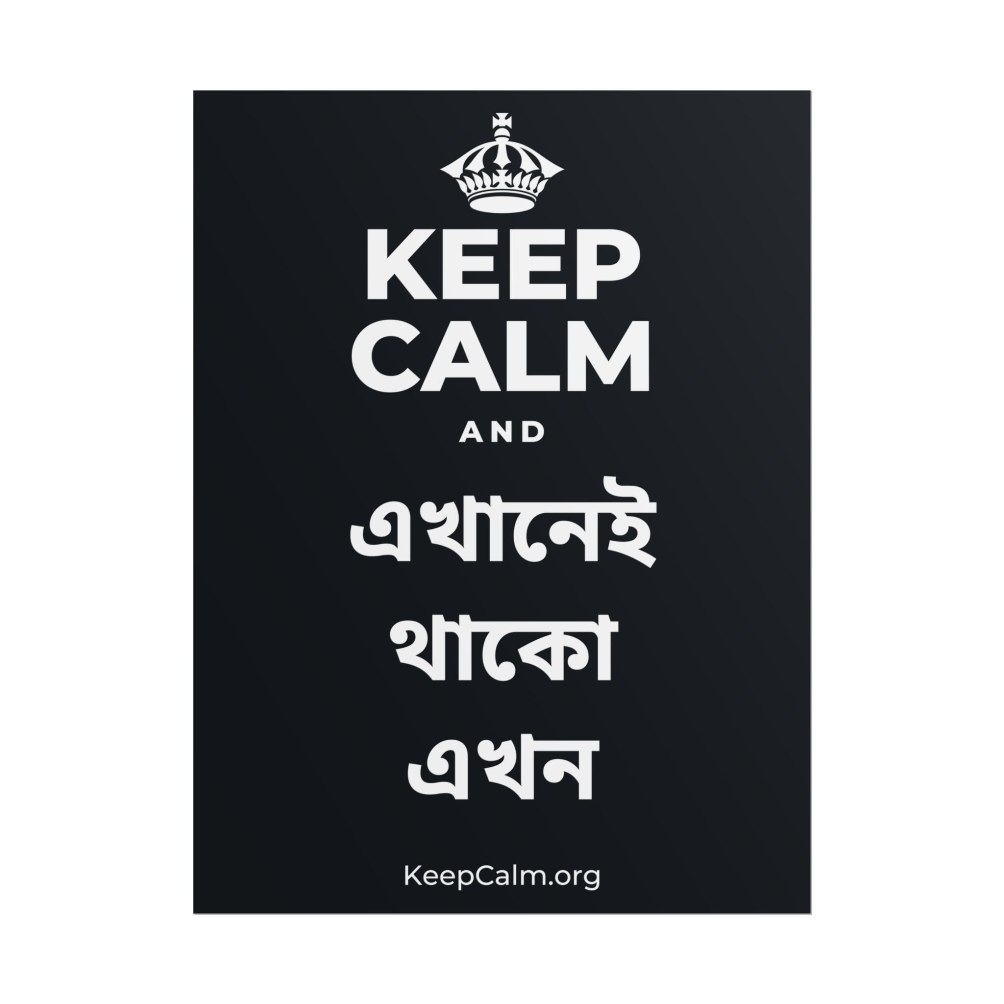 KEEP CALM AND এখানেই থাকো এখন Poster (Dark)