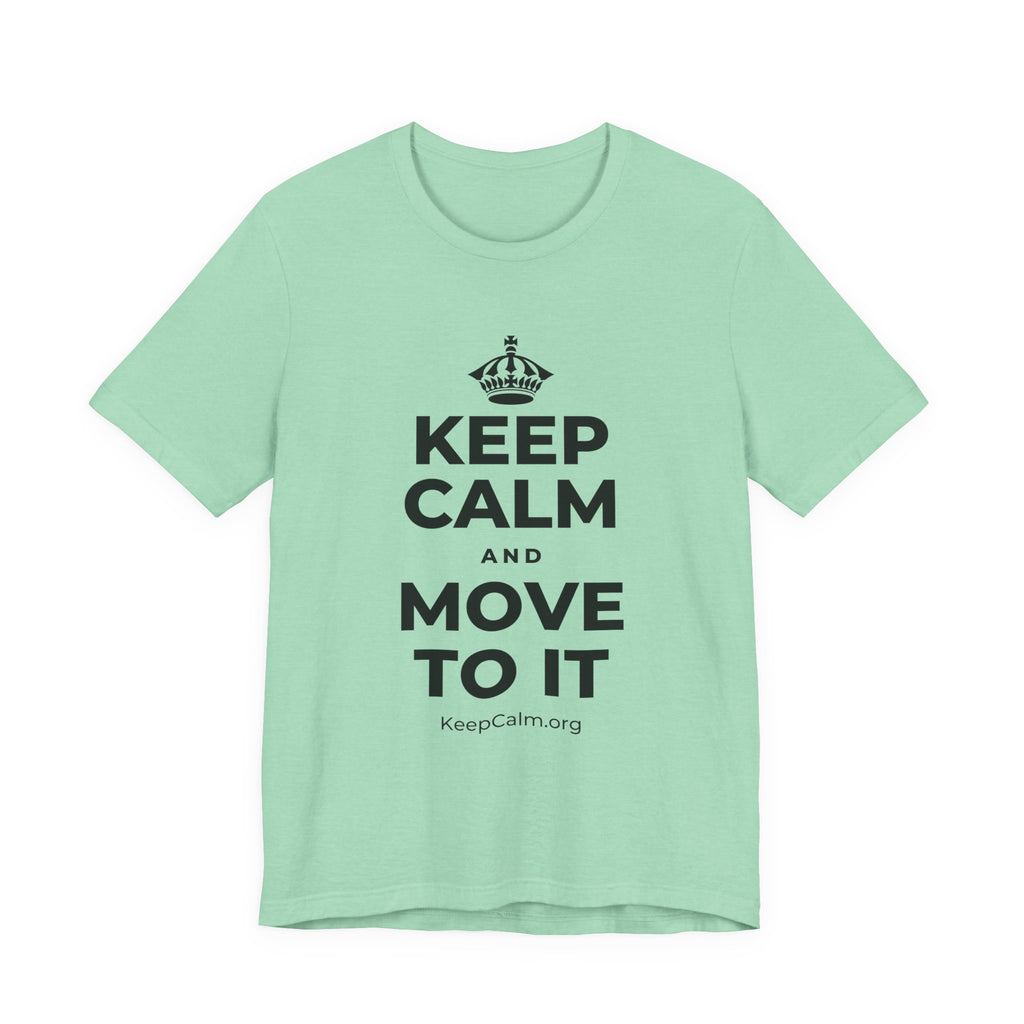 KEEP CALM AND MOVE TO IT T-Shirt (Baby Blue–Silver)