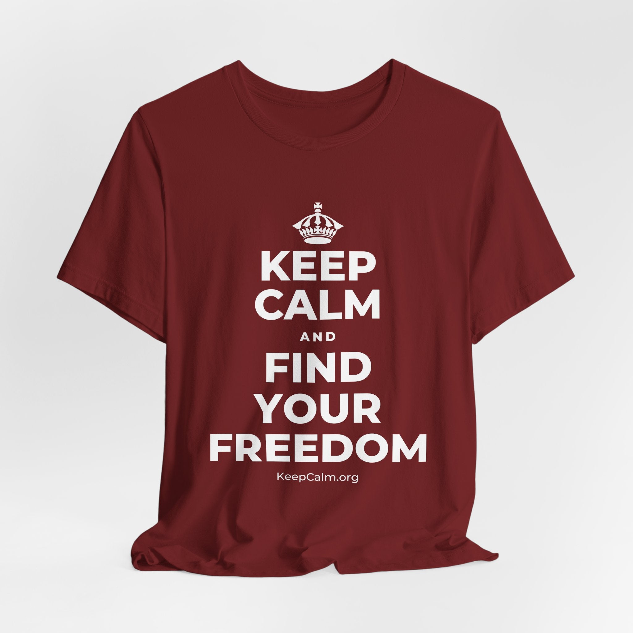 KEEP CALM AND FIND YOUR FREEDOM T-Shirt (Baby Blue–Silver)