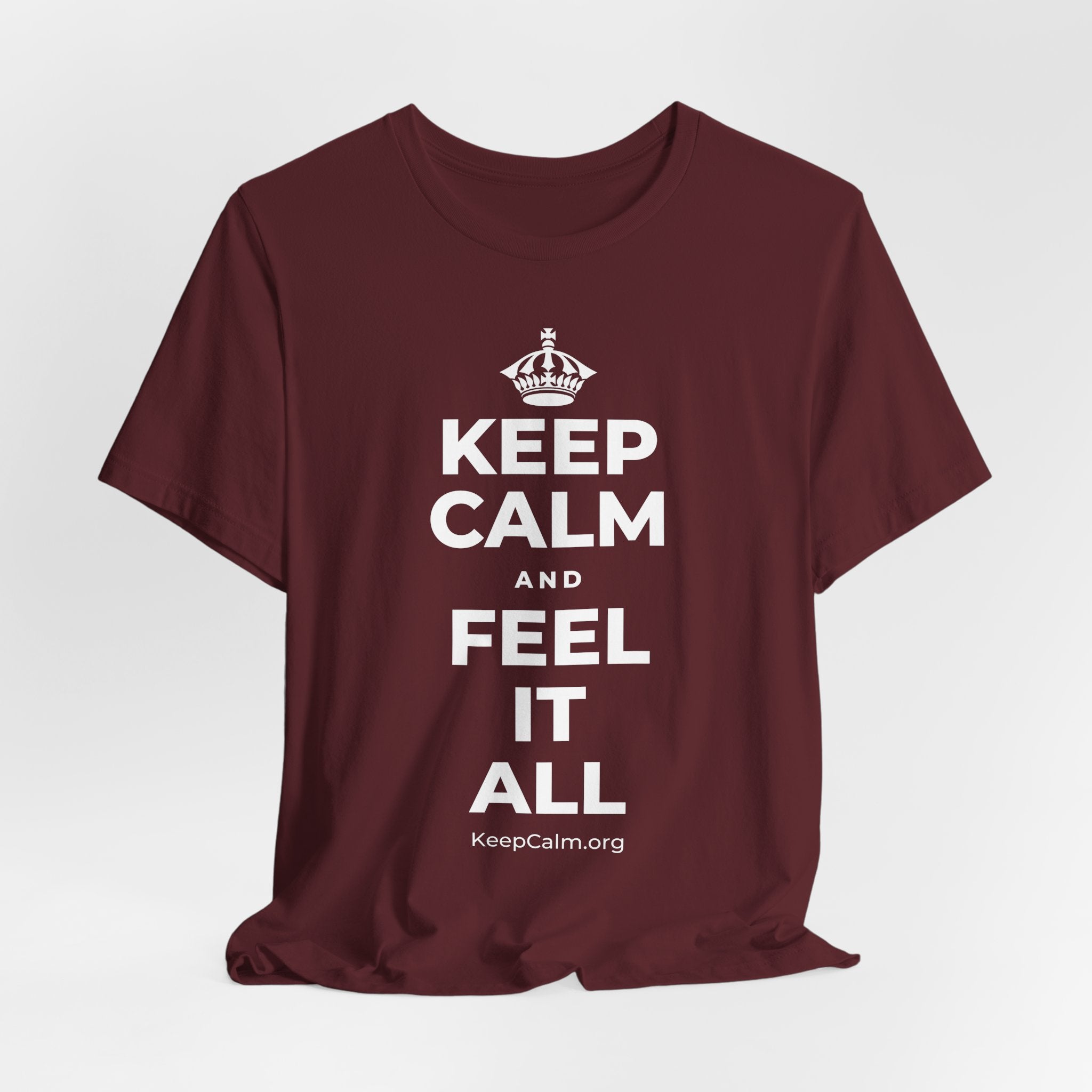 KEEP CALM AND FEEL IT ALL T-Shirt (Baby Blue–Silver)