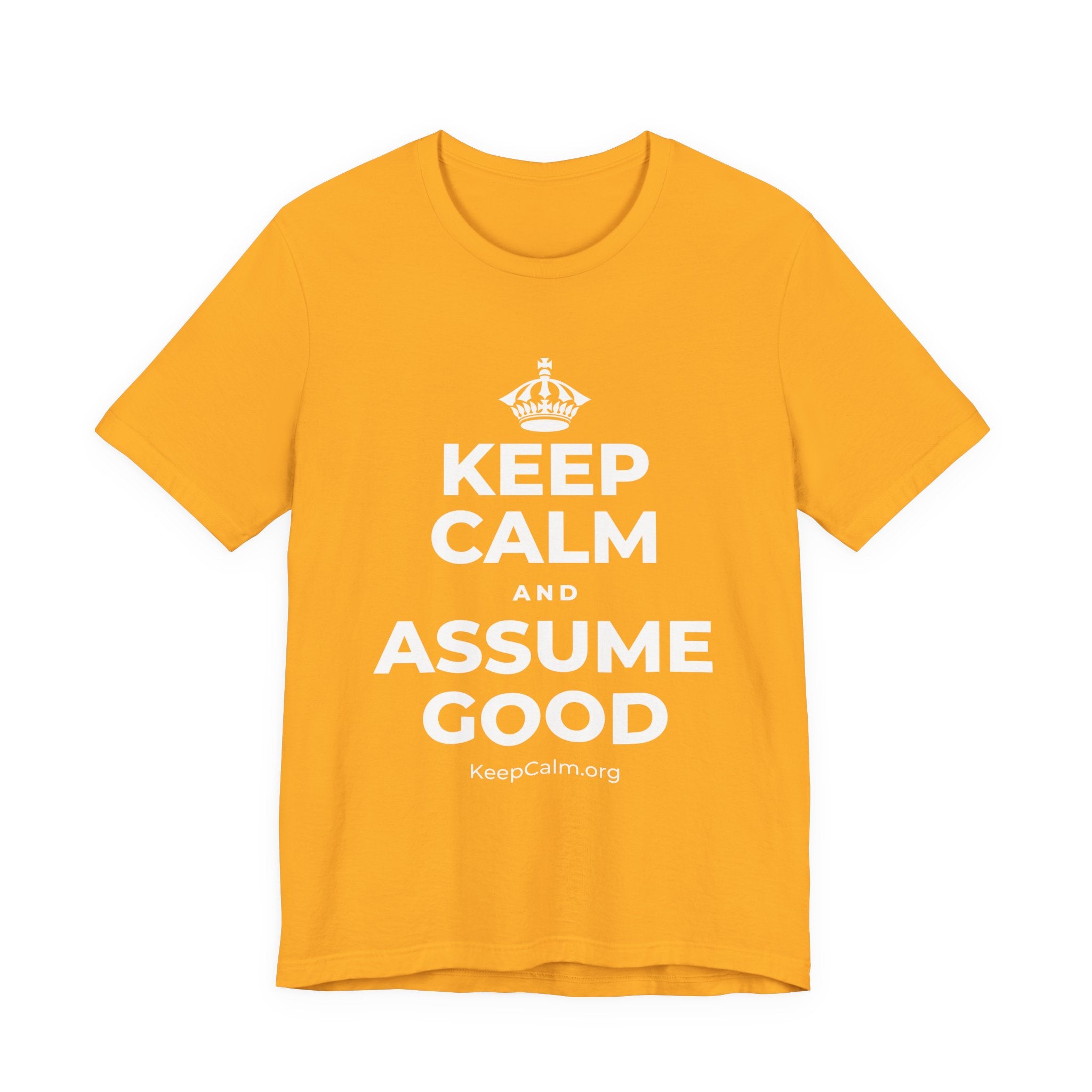 KEEP CALM AND ASSUME GOOD T-Shirt (Baby Blue–Silver)