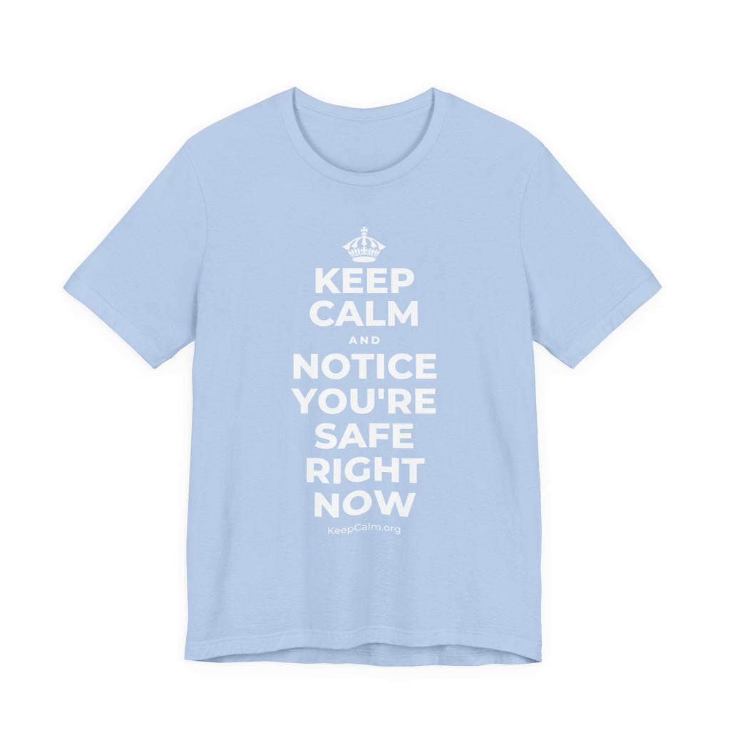 KEEP CALM AND NOTICE YOU'RE SAFE RIGHT NOW T-Shirt (Baby Blue–Silver)