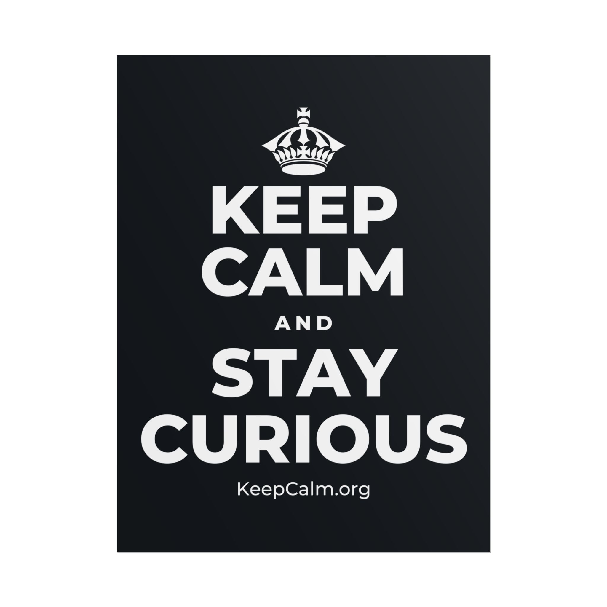 KEEP CALM AND STAY CURIOUS Poster (Dark)